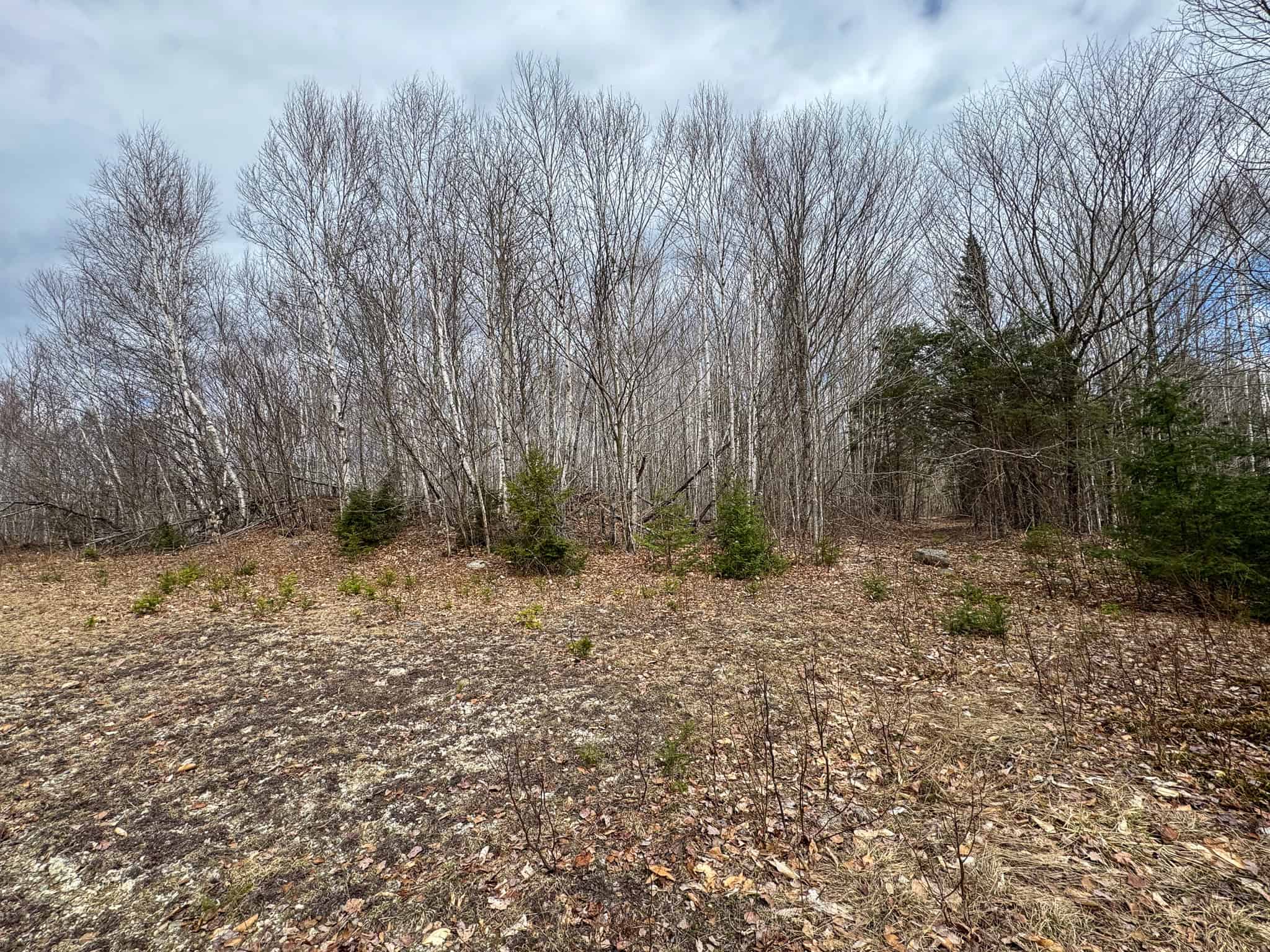 40.8 Acres of Off-Grid Paradise in Lakeville, Maine