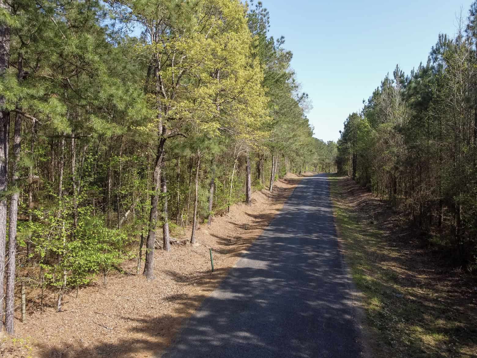 Longstraw 53 (Tract 2) Jackson Parish Timberland