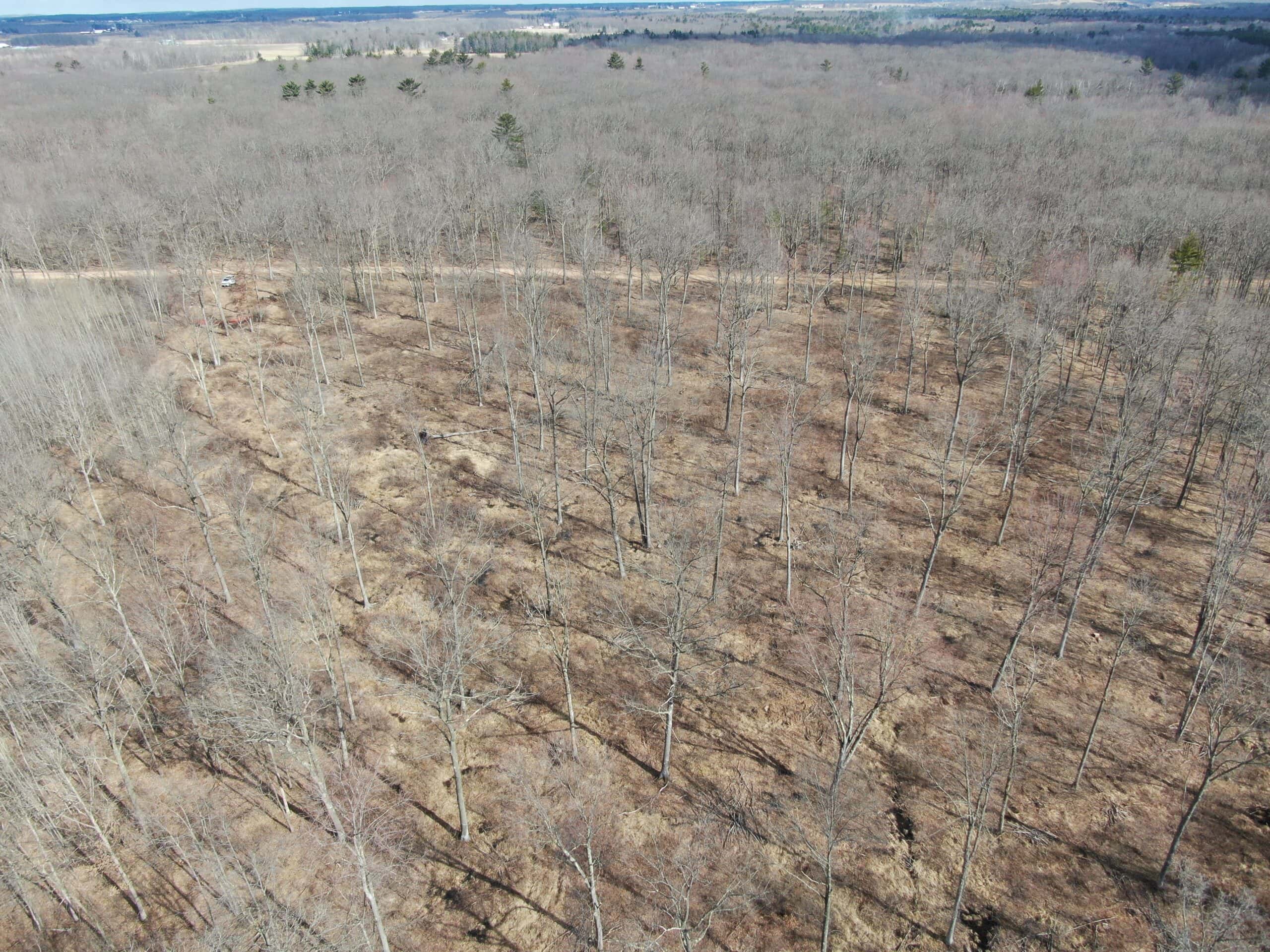 75-acre parcel in the heart of Clark County Wisconsin