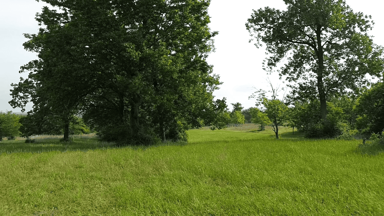92+ Acre Hunting & Recreational Tract in Leon County, TX