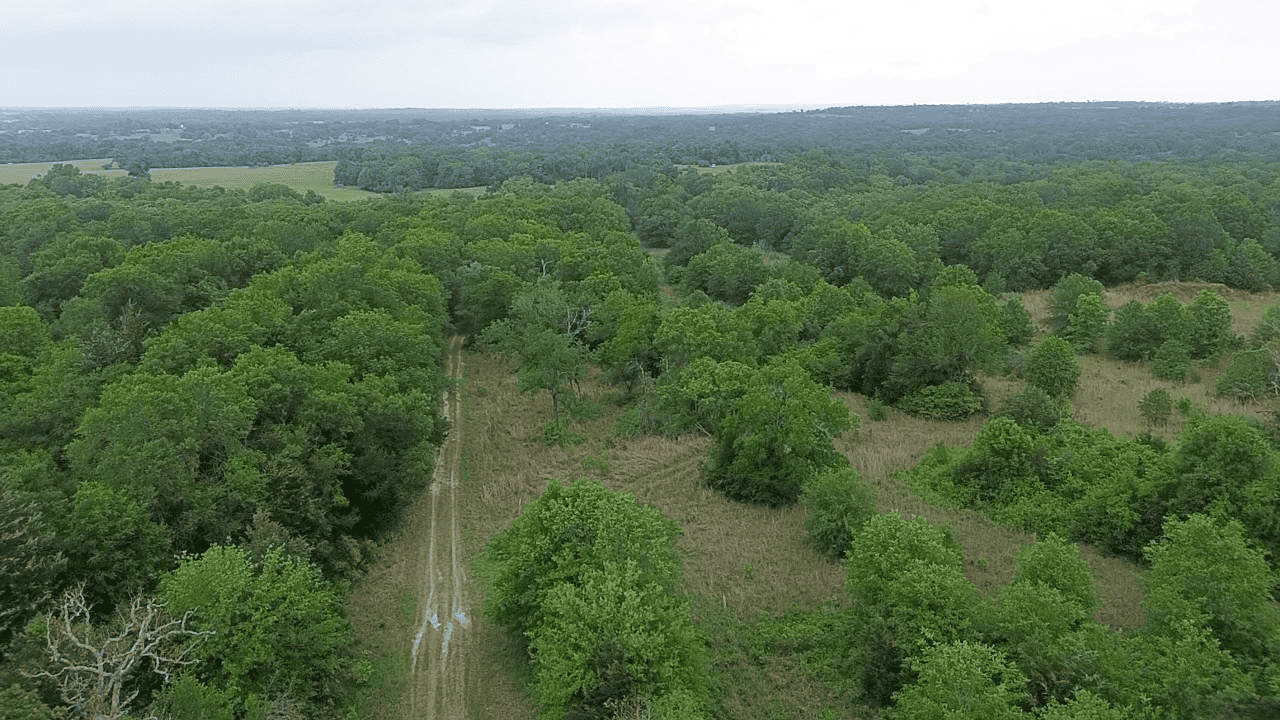 92+ Acre Hunting & Recreational Tract in Leon County, TX