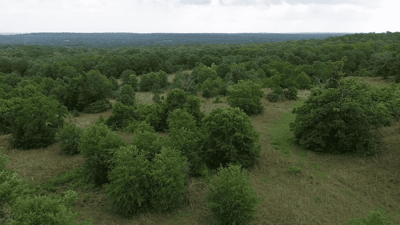 92+ Acre Hunting & Recreational Tract in Leon County, TX