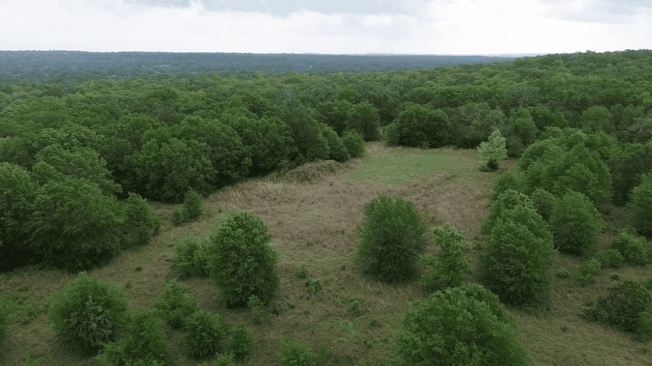 92+ Acre Hunting & Recreational Tract in Leon County, TX