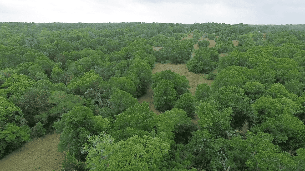 92+ Acre Hunting & Recreational Tract in Leon County, TX