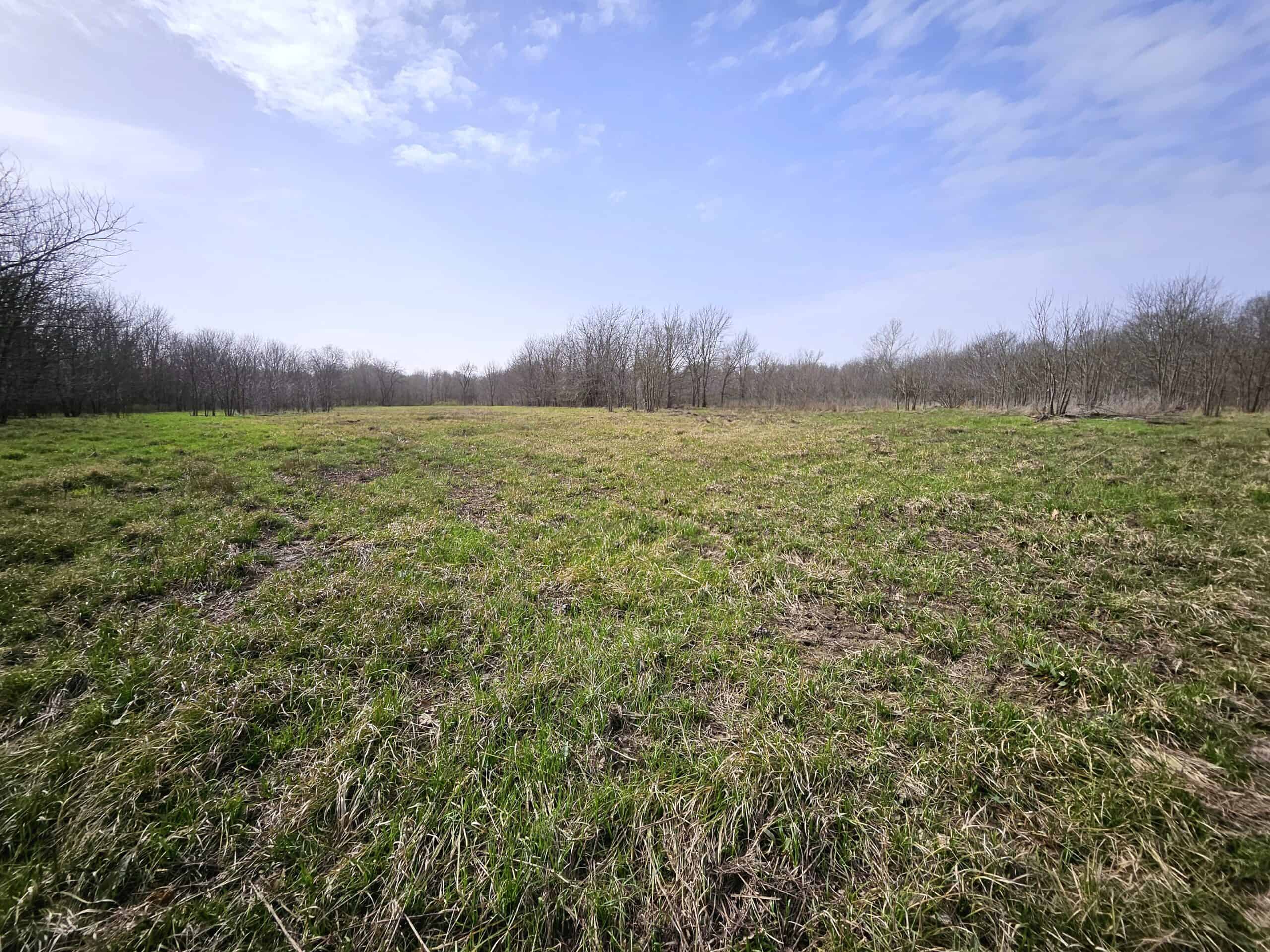 Prime Texas Hunting Land For Sale in Sumner TX