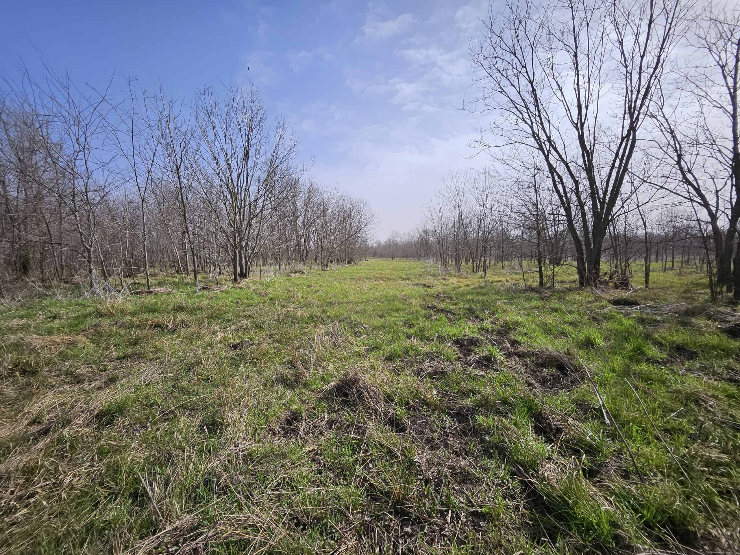 Prime Texas Hunting Land For Sale in Sumner TX