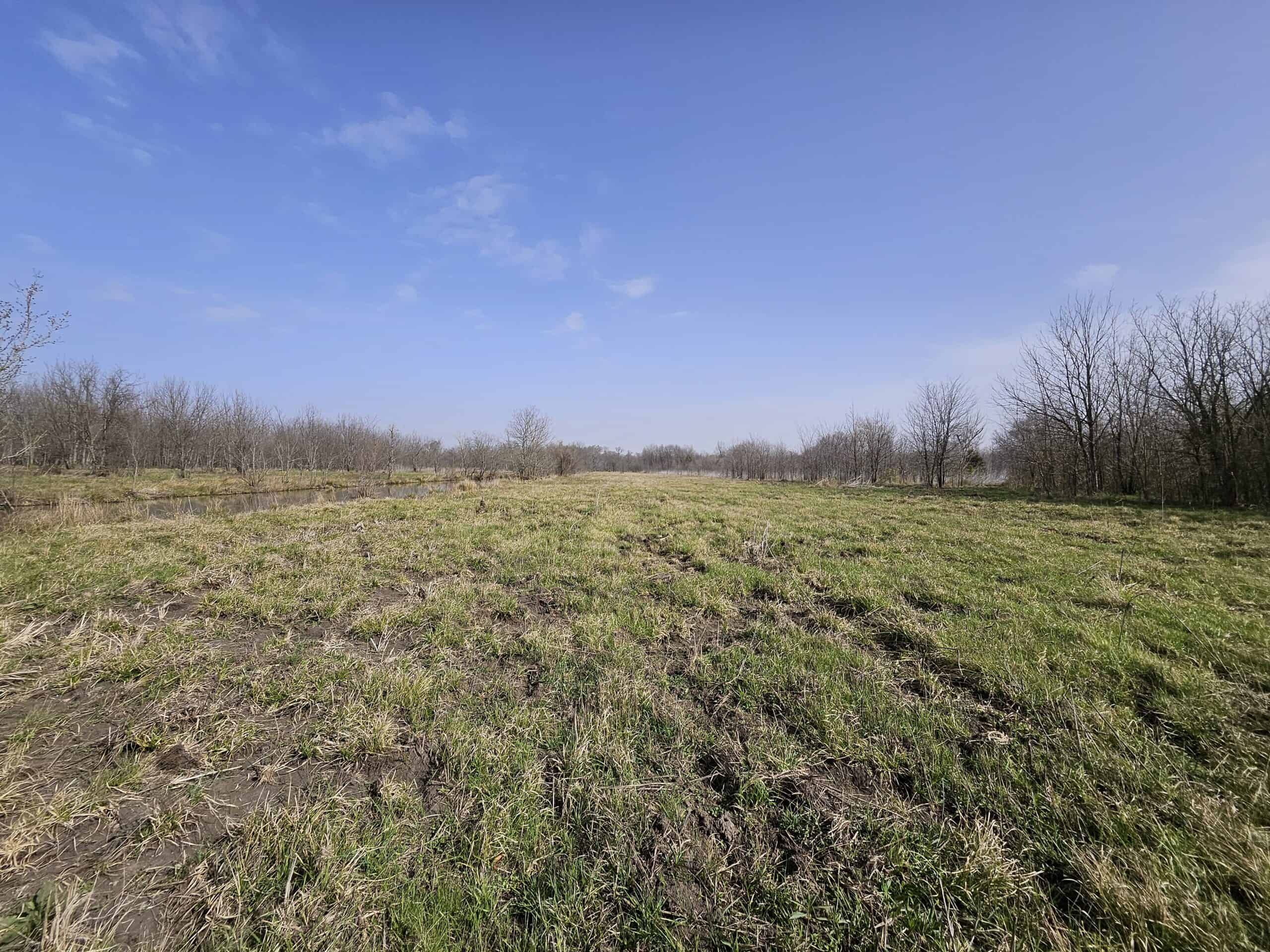 Prime Texas Hunting Land For Sale in Sumner TX