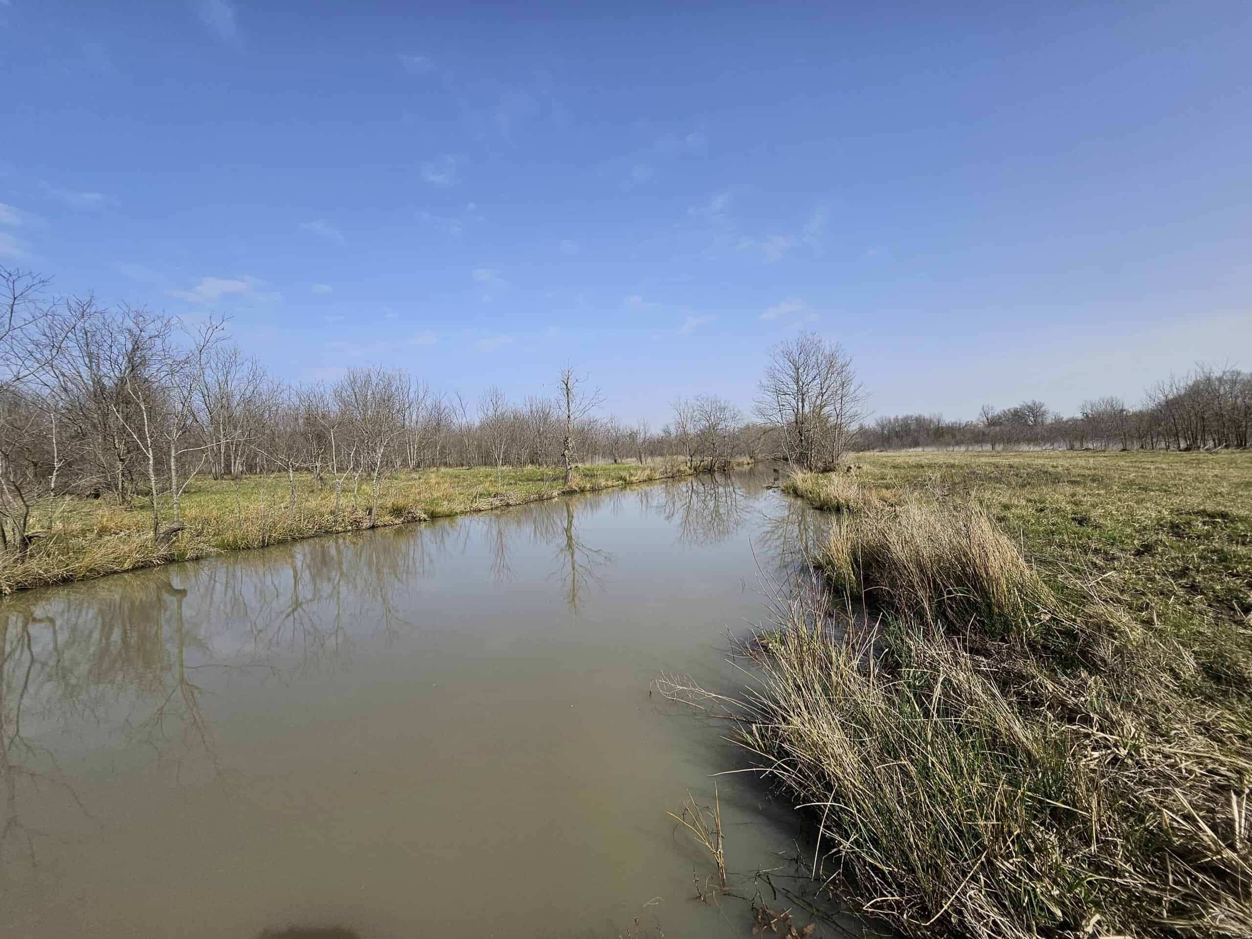 Prime Texas Hunting Land For Sale in Sumner TX