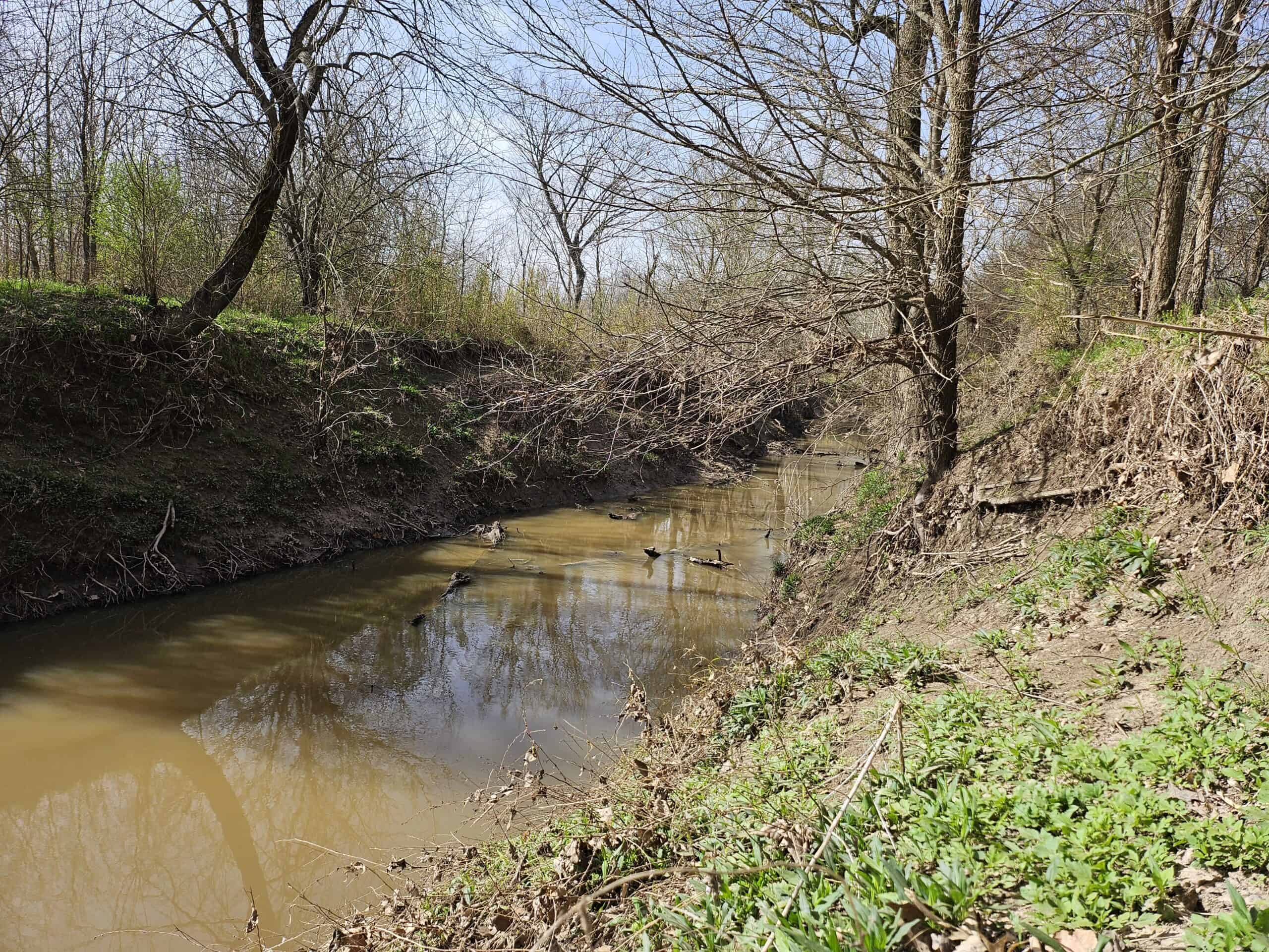 Prime Texas Hunting Land For Sale in Sumner TX