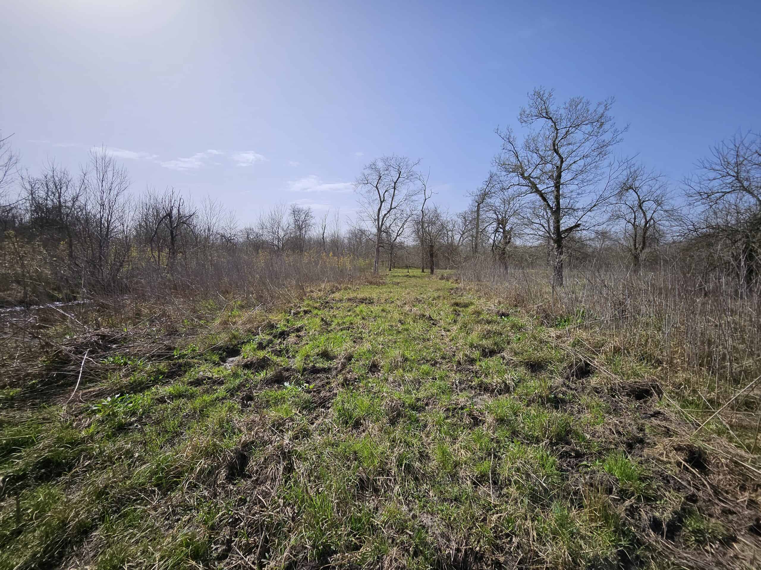 Prime Texas Hunting Land For Sale in Sumner TX