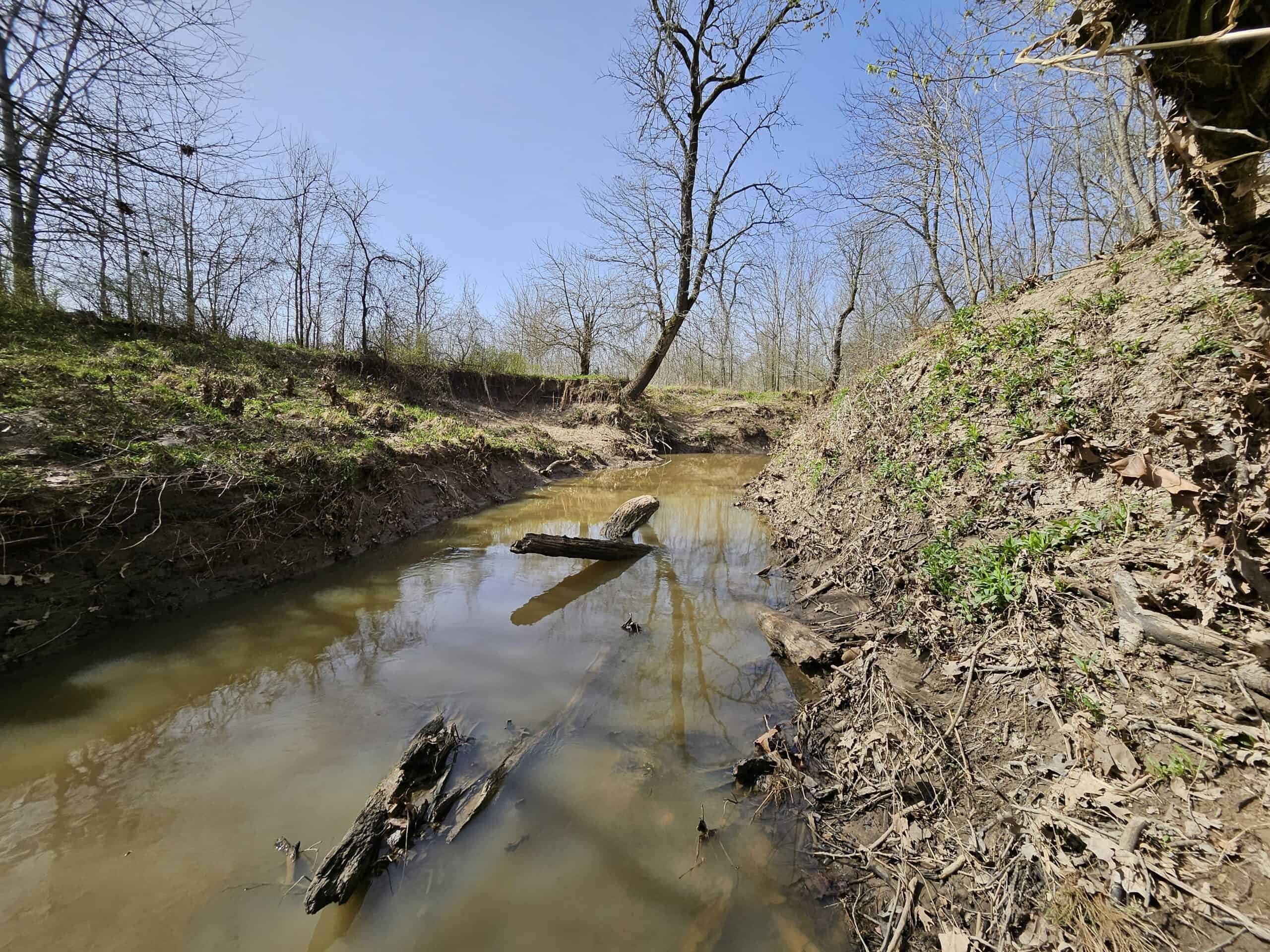 Prime Texas Hunting Land For Sale in Sumner TX