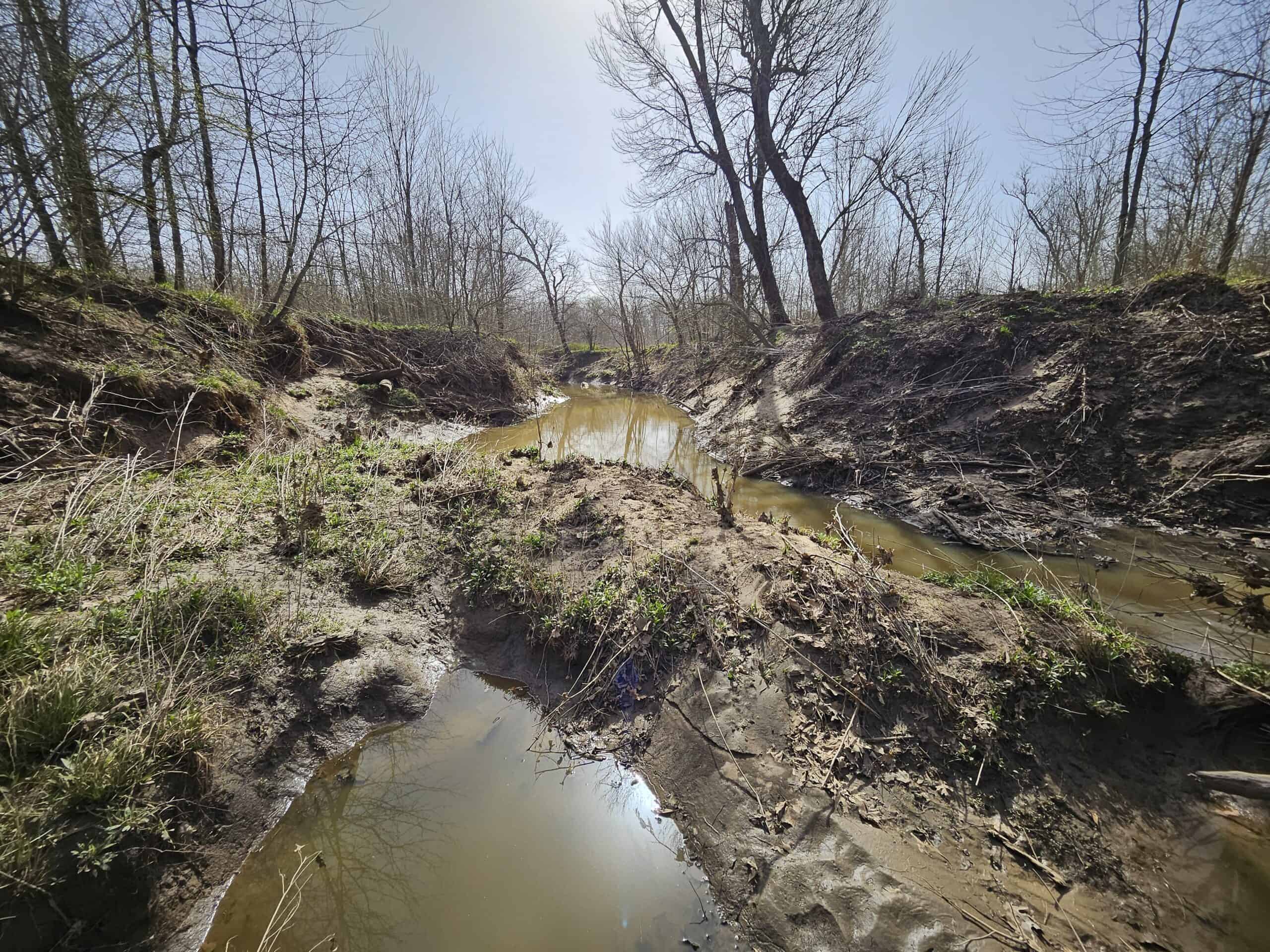 Prime Texas Hunting Land For Sale in Sumner TX