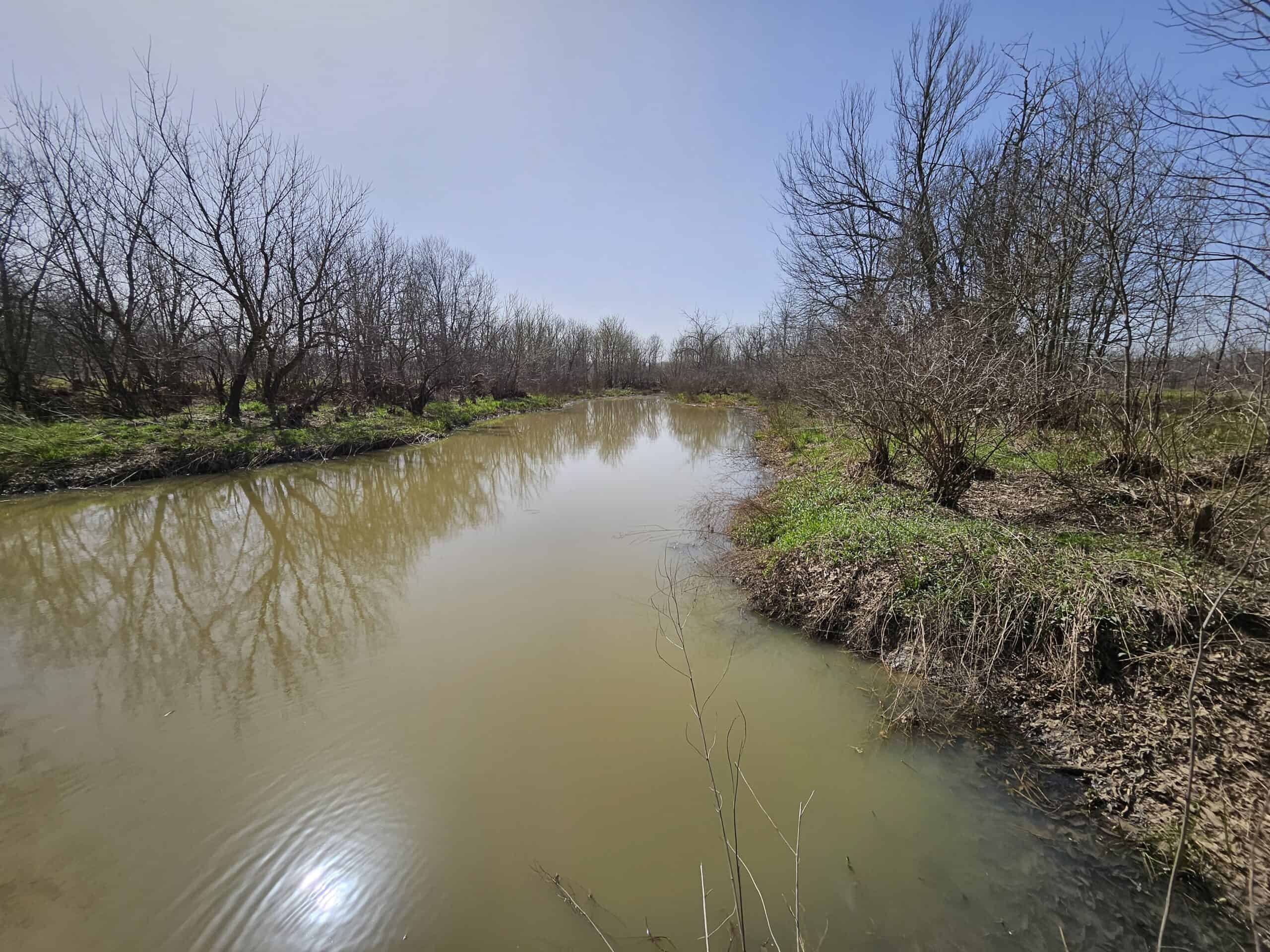 Prime Texas Hunting Land For Sale in Sumner TX
