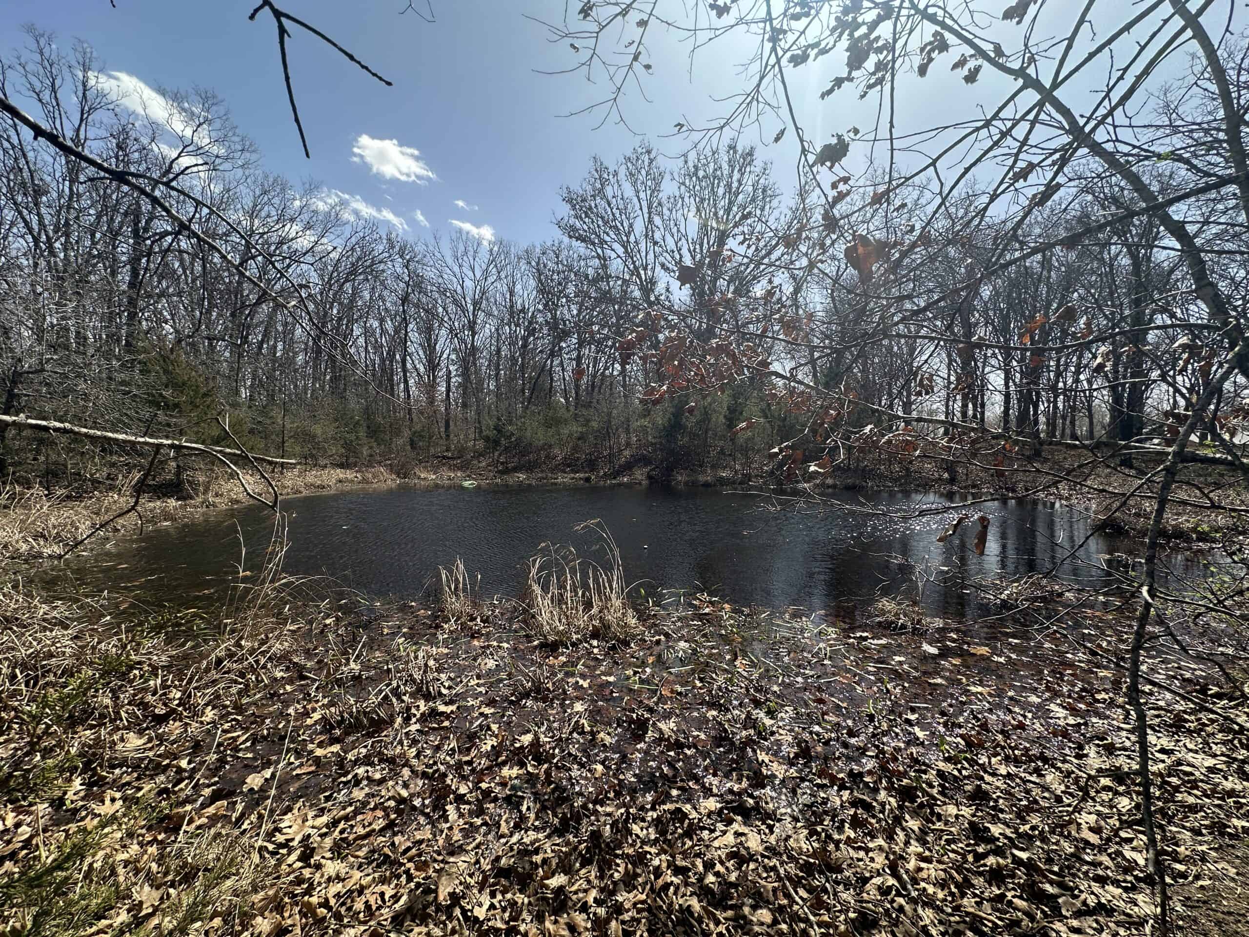 Brick Home with Acreage for Sale in Salem, Missouri