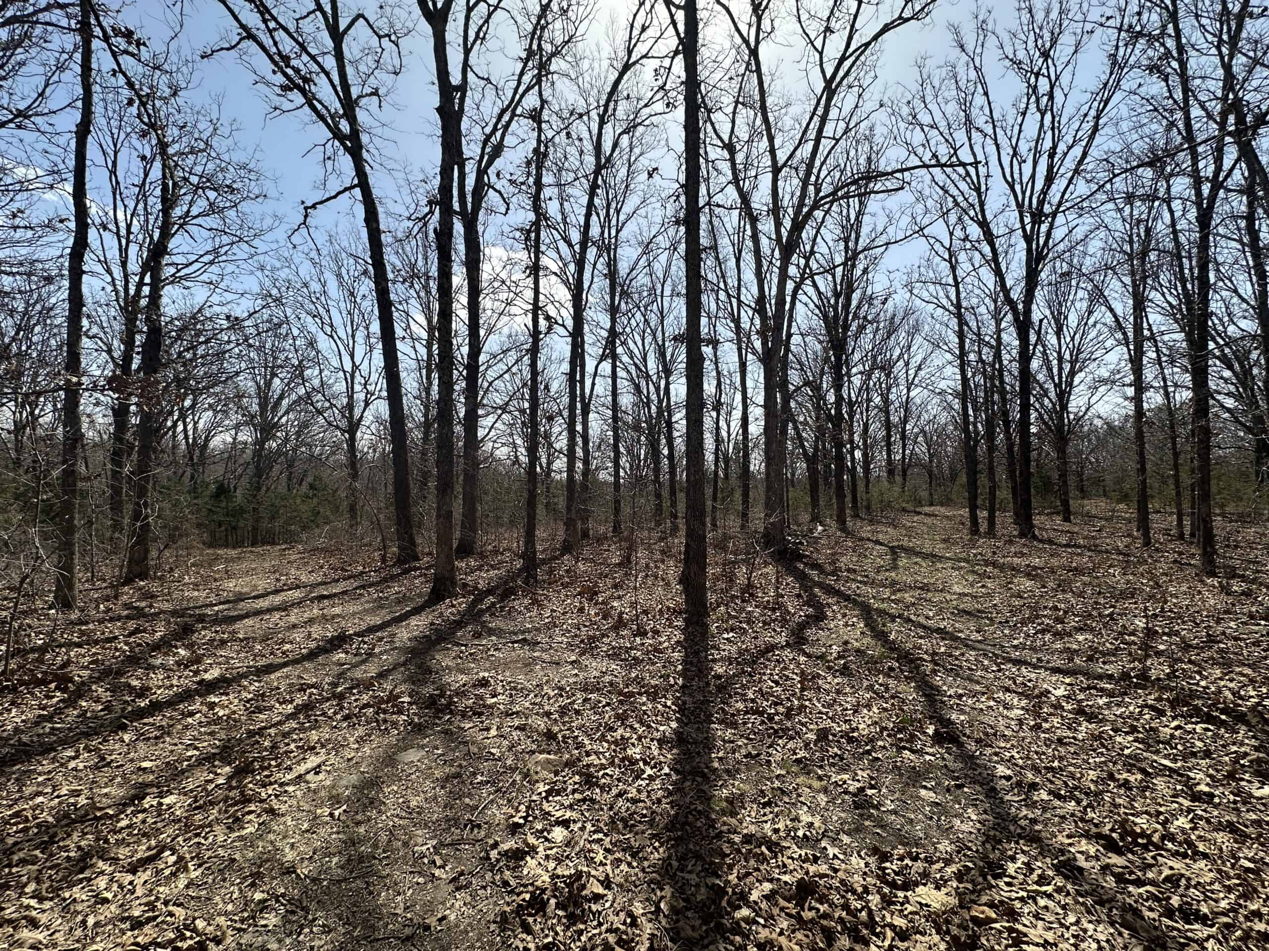 Brick Home with Acreage for Sale in Salem, Missouri