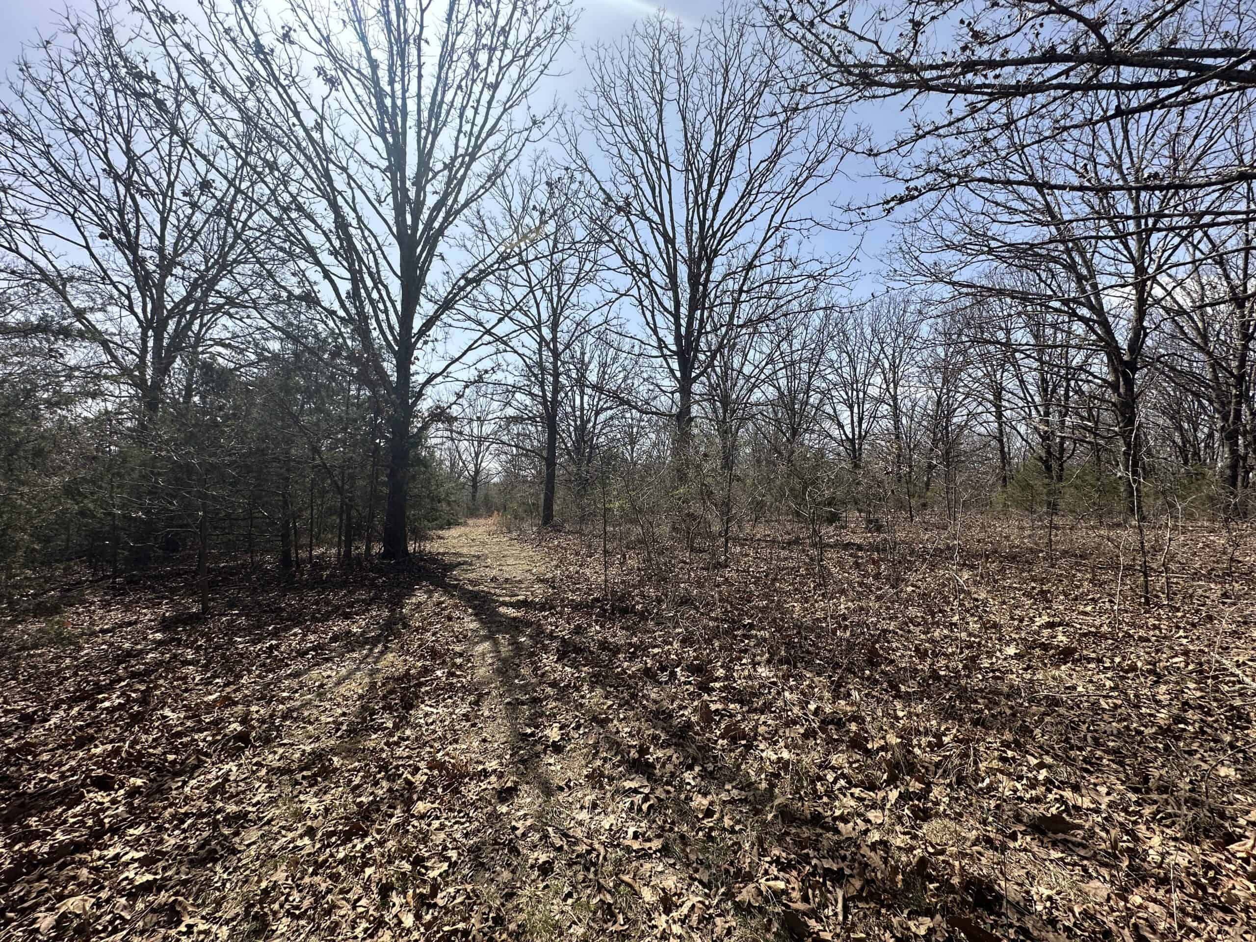 Brick Home with Acreage for Sale in Salem, Missouri