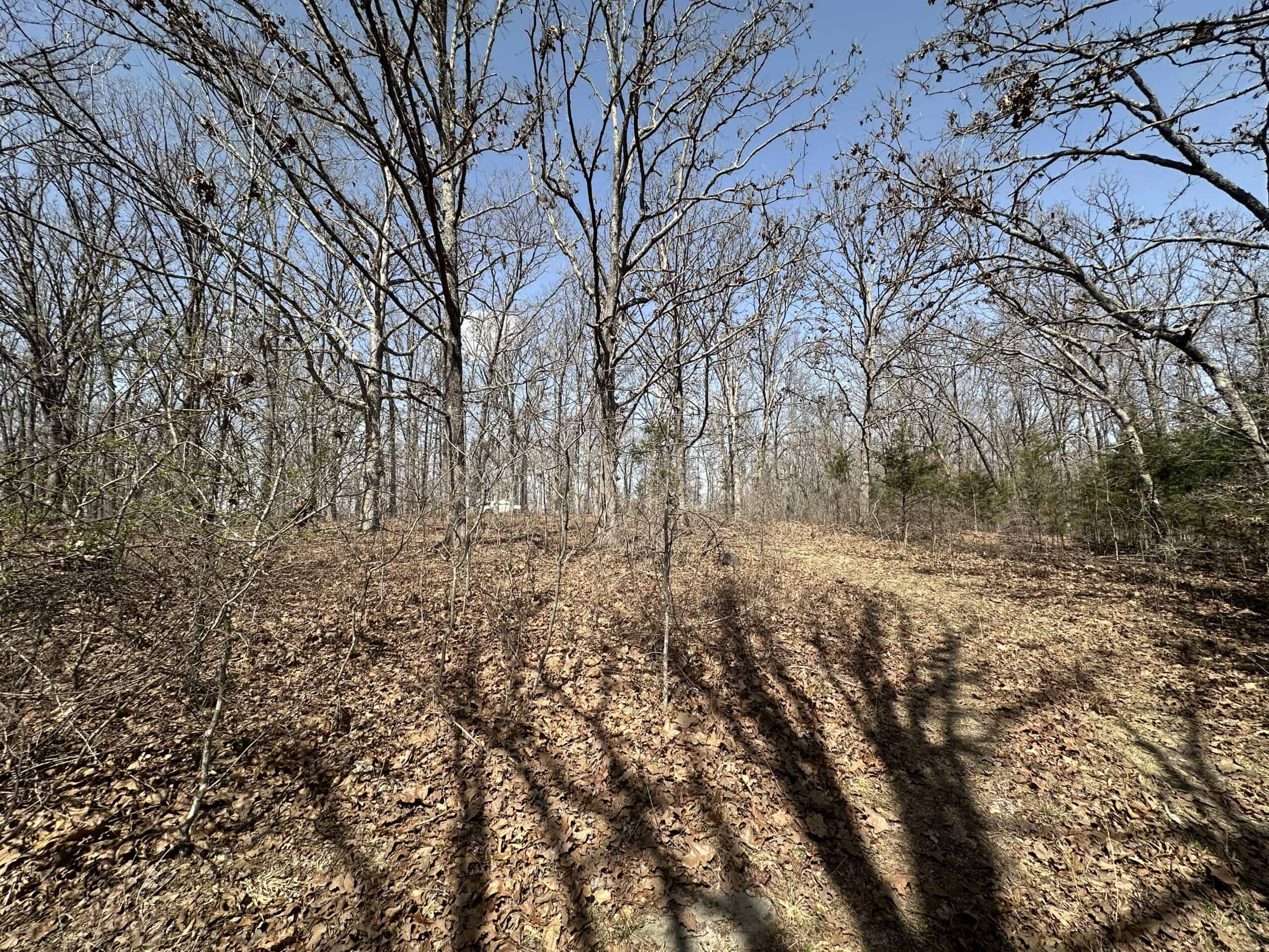 Brick Home with Acreage for Sale in Salem, Missouri