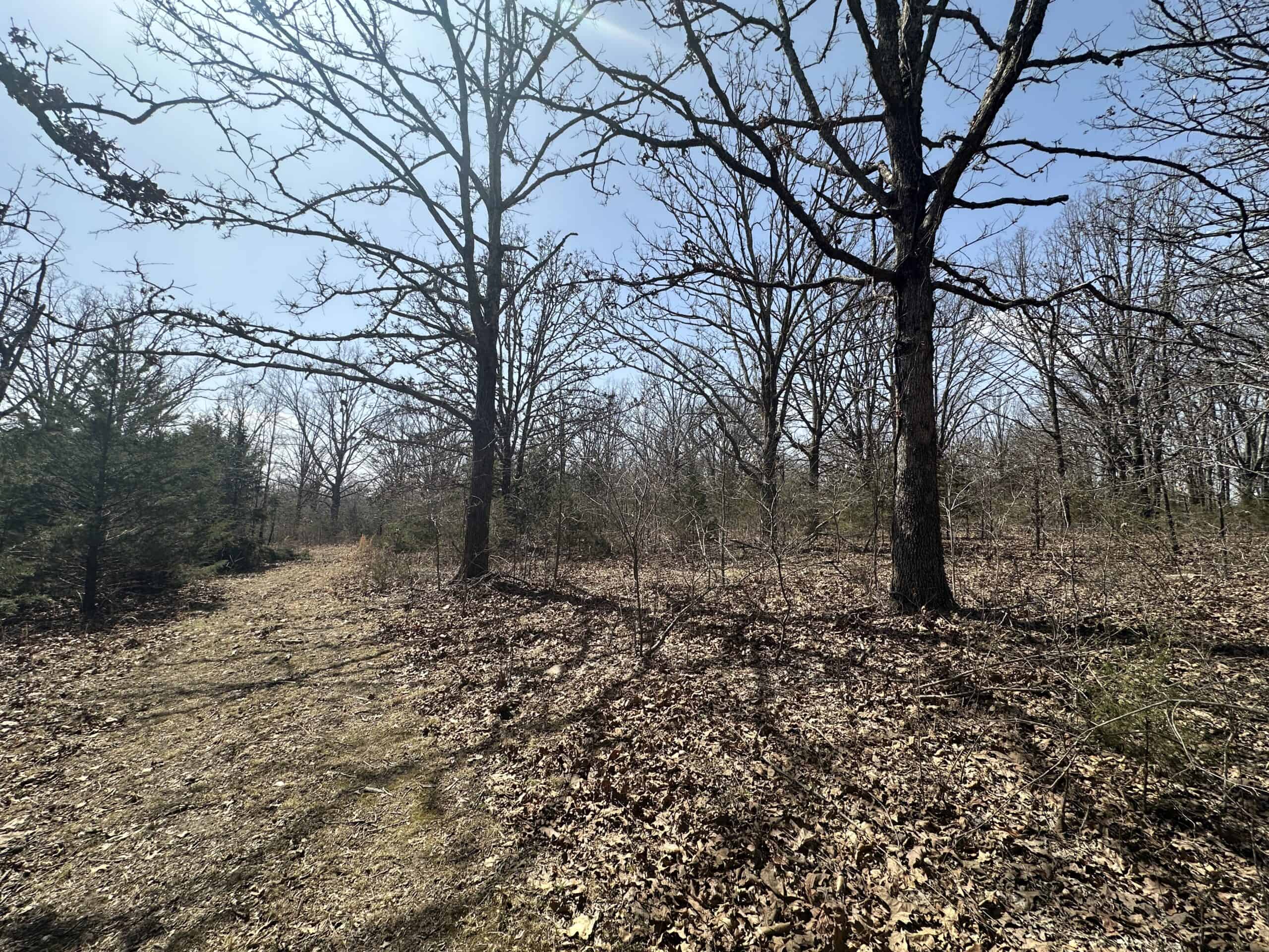Brick Home with Acreage for Sale in Salem, Missouri