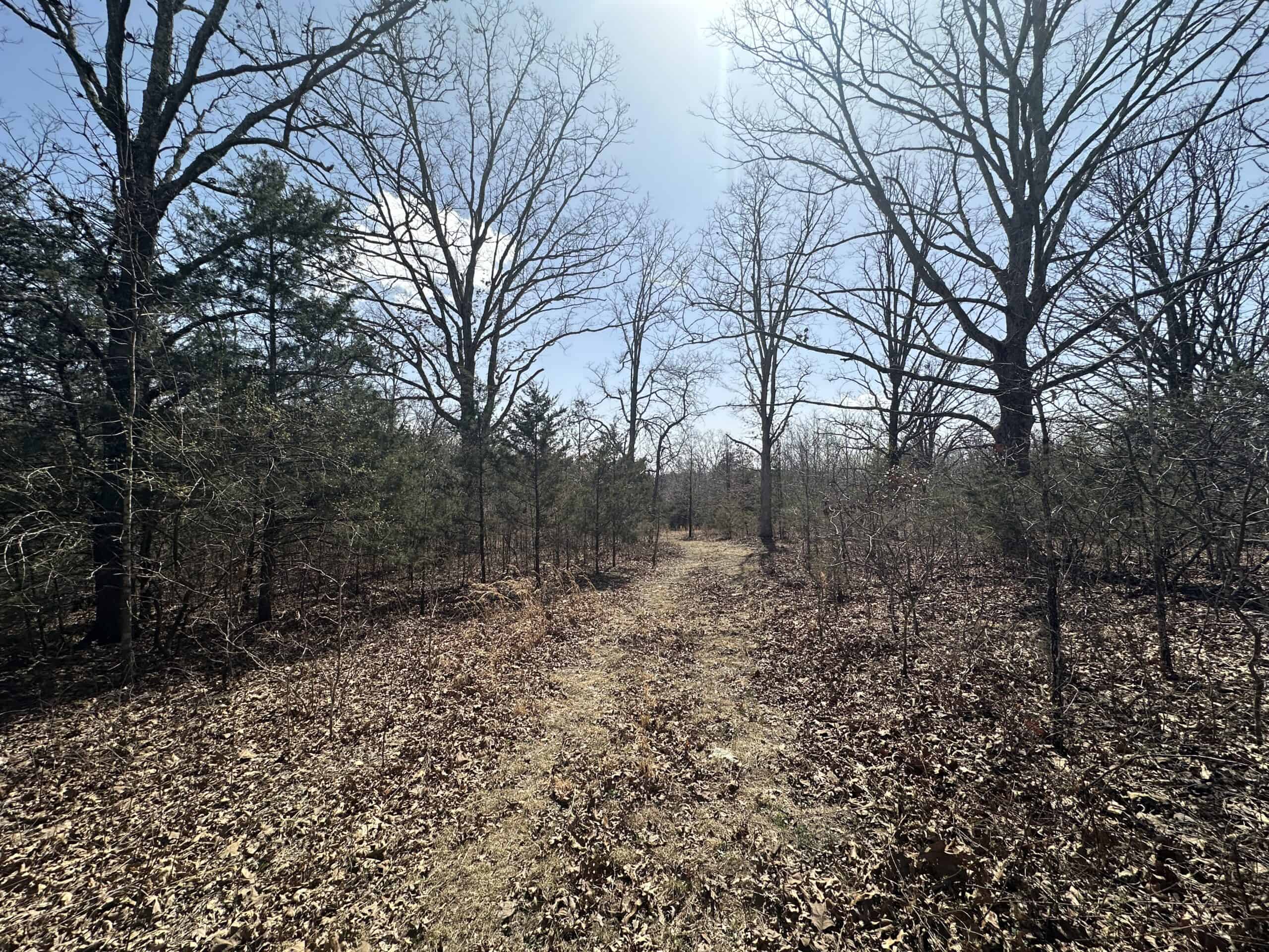 Brick Home with Acreage for Sale in Salem, Missouri