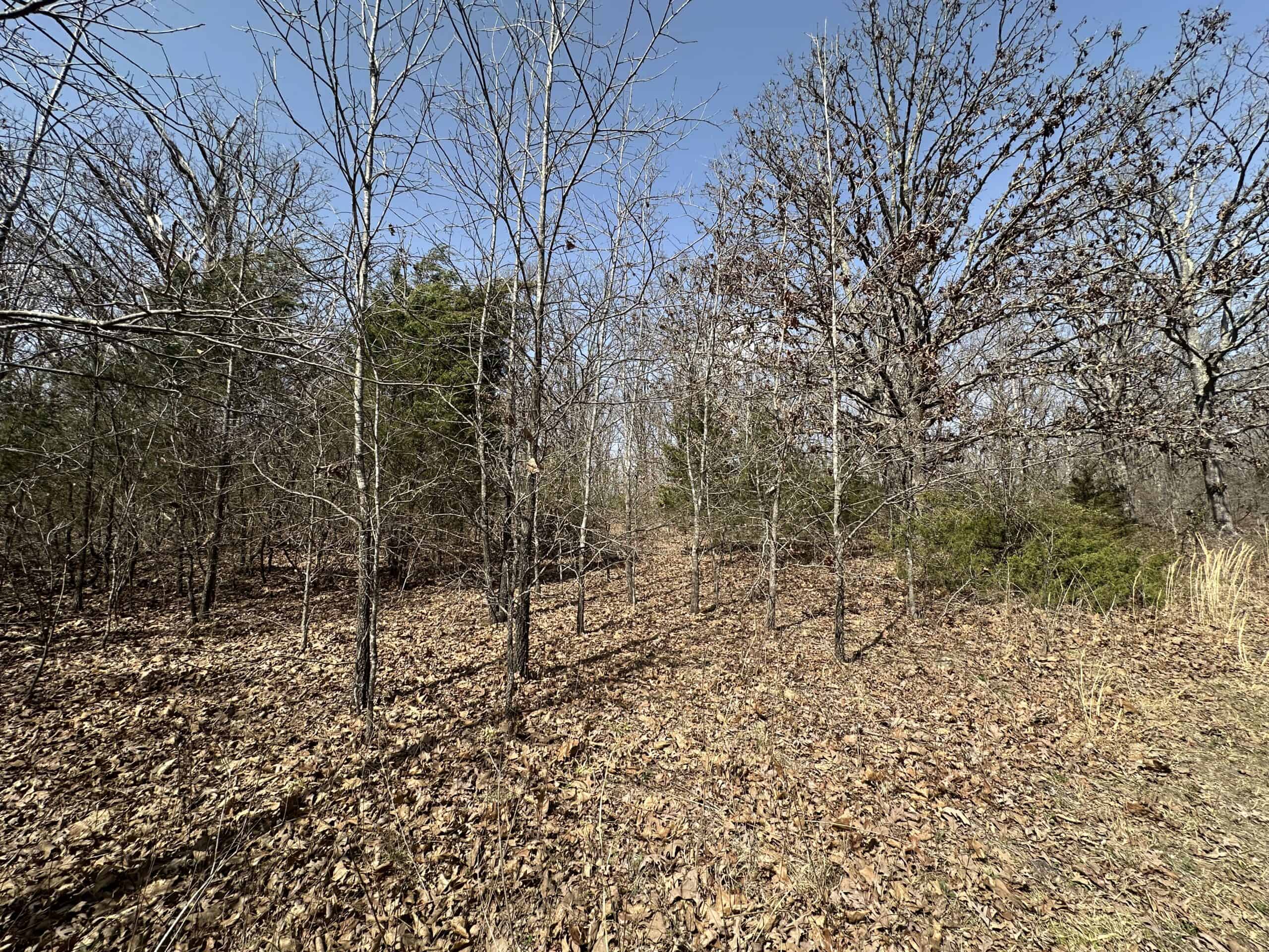 Brick Home with Acreage for Sale in Salem, Missouri