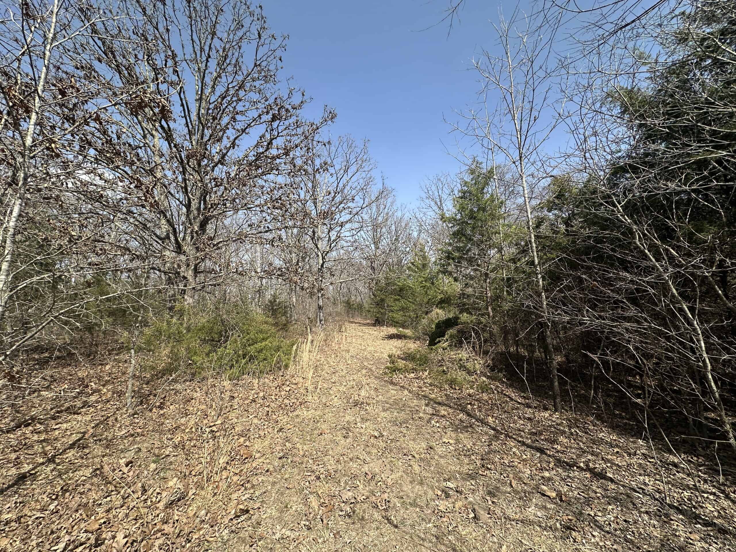 Brick Home with Acreage for Sale in Salem, Missouri