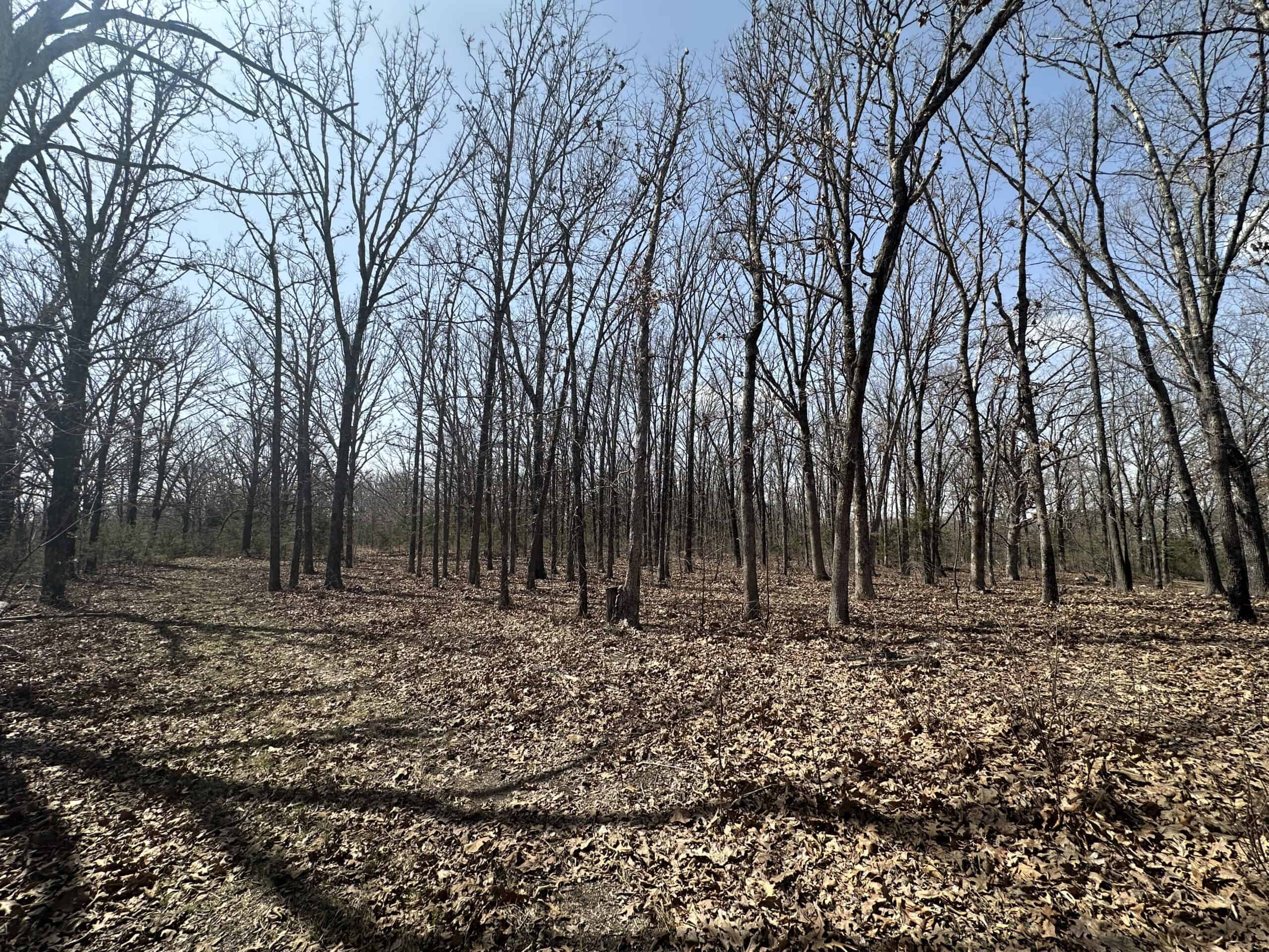 Brick Home with Acreage for Sale in Salem, Missouri