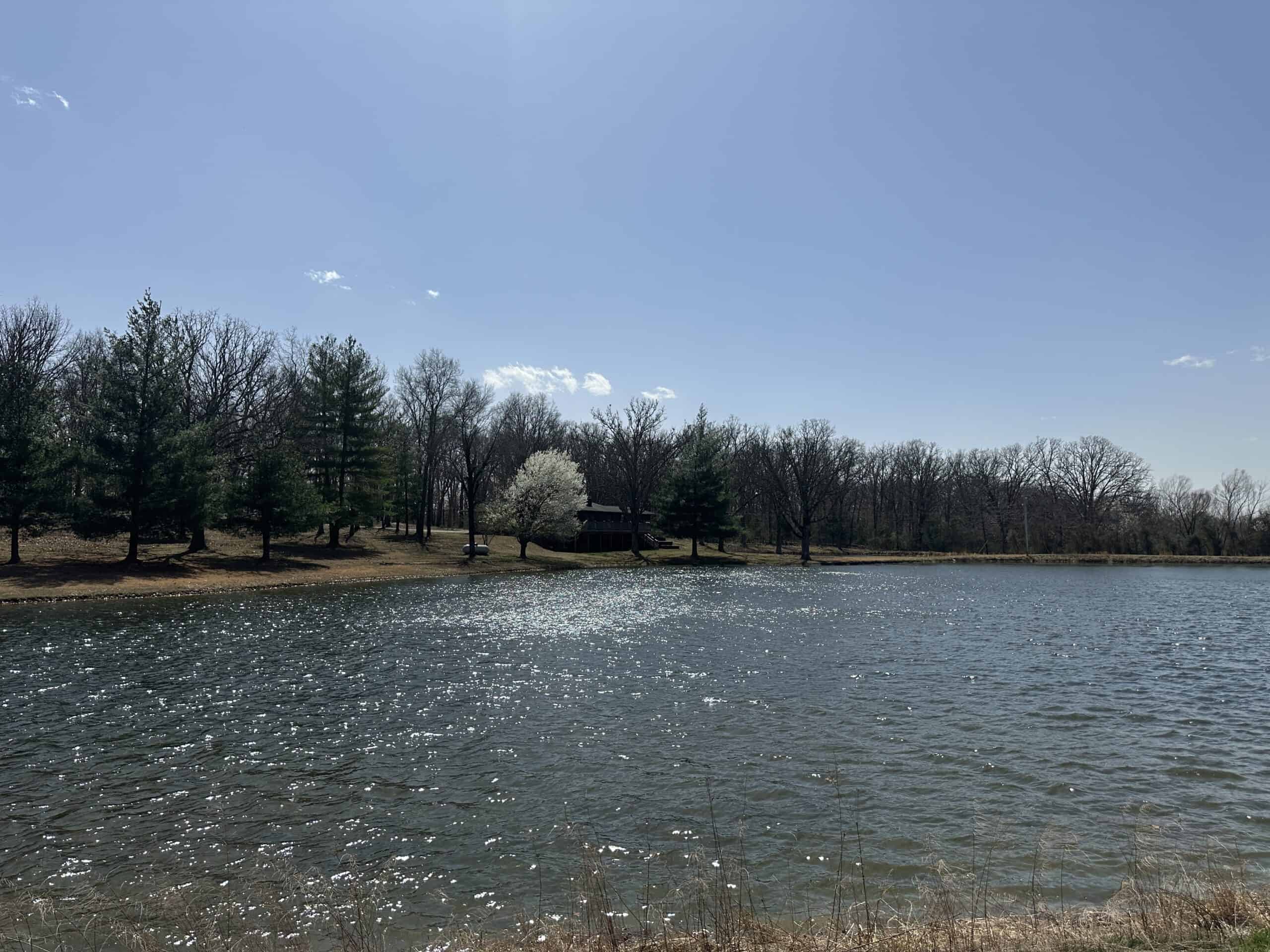 Brick Home with Acreage for Sale in Salem, Missouri