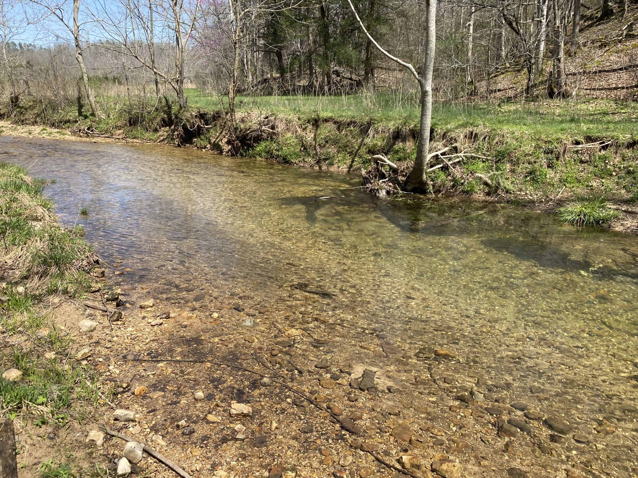 RENOVATED HOME ON 40 ACRES FOR SALE IN HARDIN COUNTY, TN