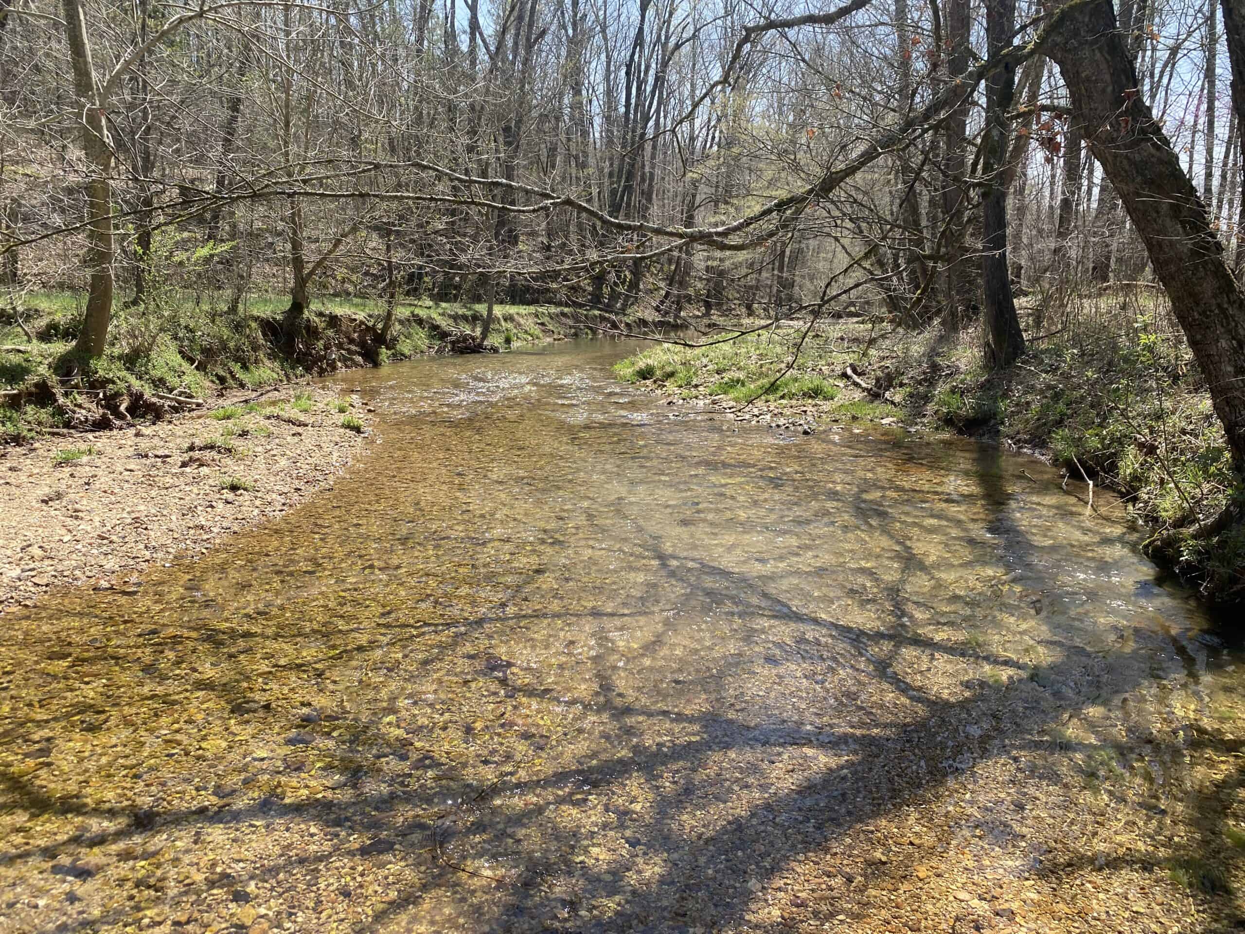 RENOVATED HOME ON 40 ACRES FOR SALE IN HARDIN COUNTY, TN
