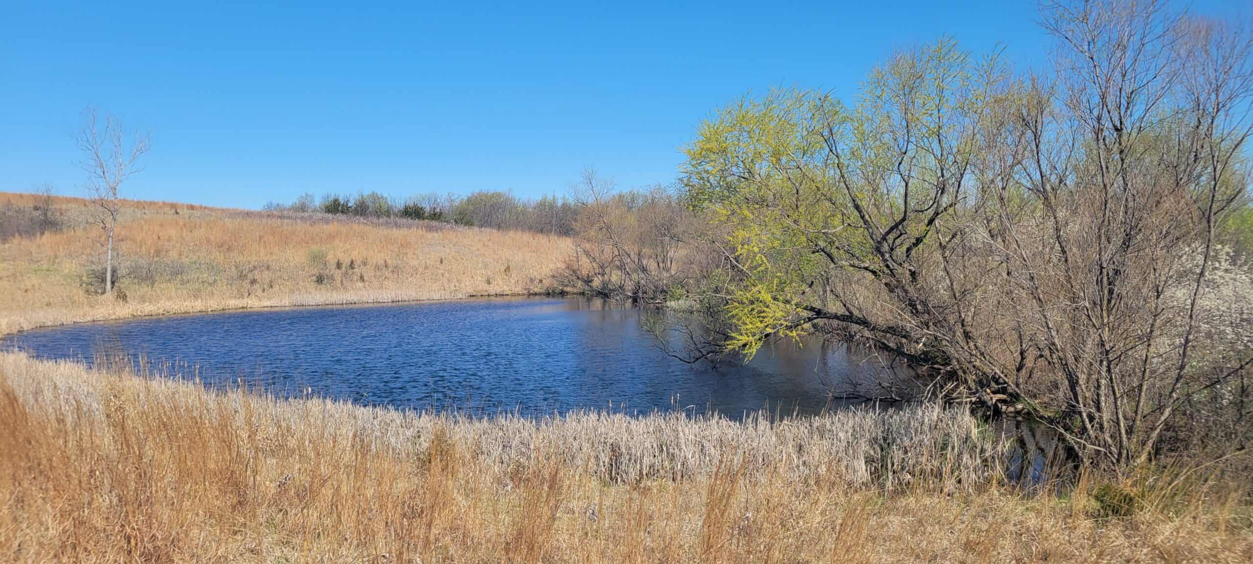112 Acres m/l near Harrison County Lake