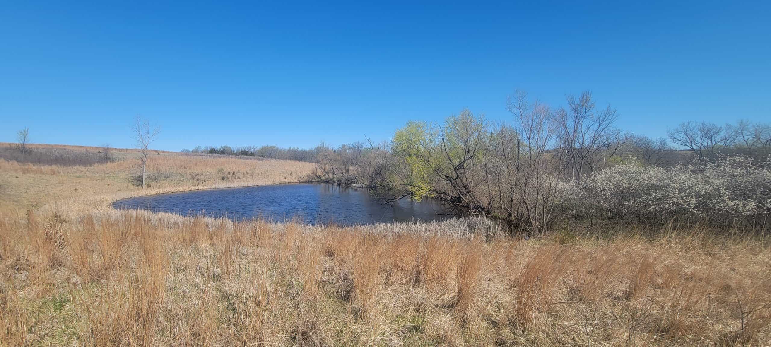 112 Acres m/l near Harrison County Lake