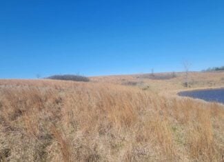 112 Acres m/l near Harrison County Lake