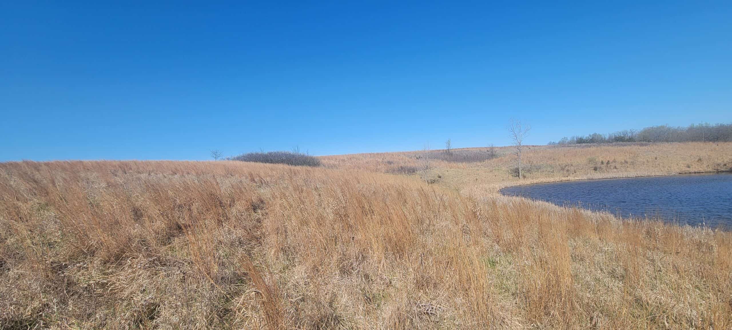 112 Acres m/l near Harrison County Lake