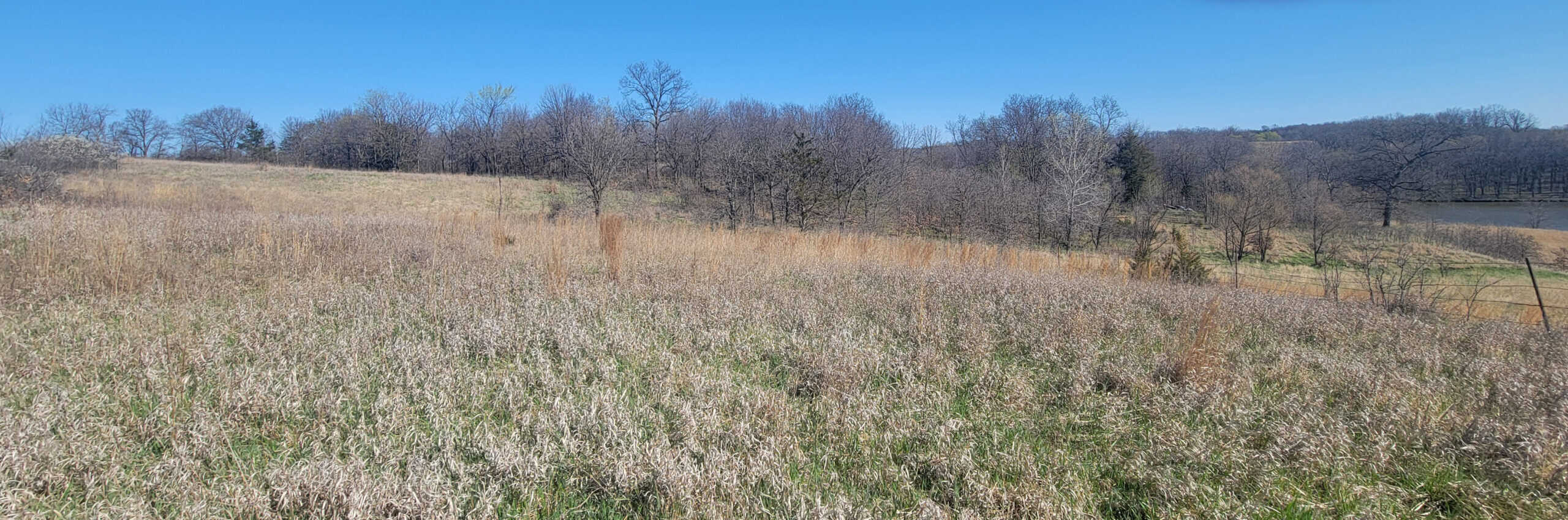 112 Acres m/l near Harrison County Lake