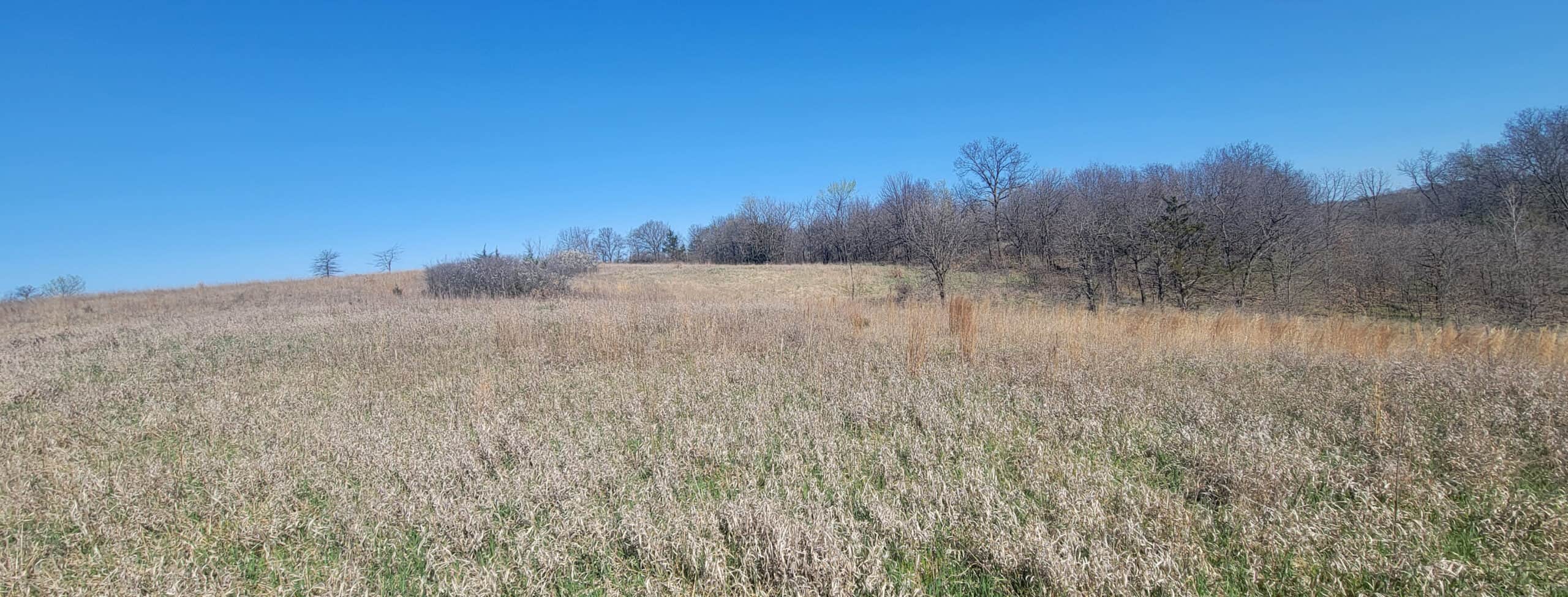 112 Acres m/l near Harrison County Lake