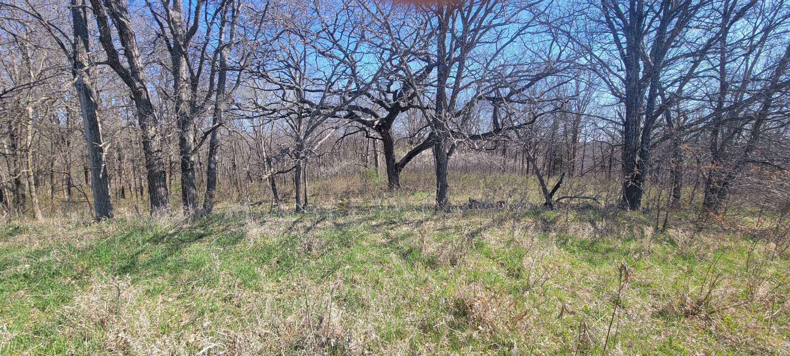 112 Acres m/l near Harrison County Lake