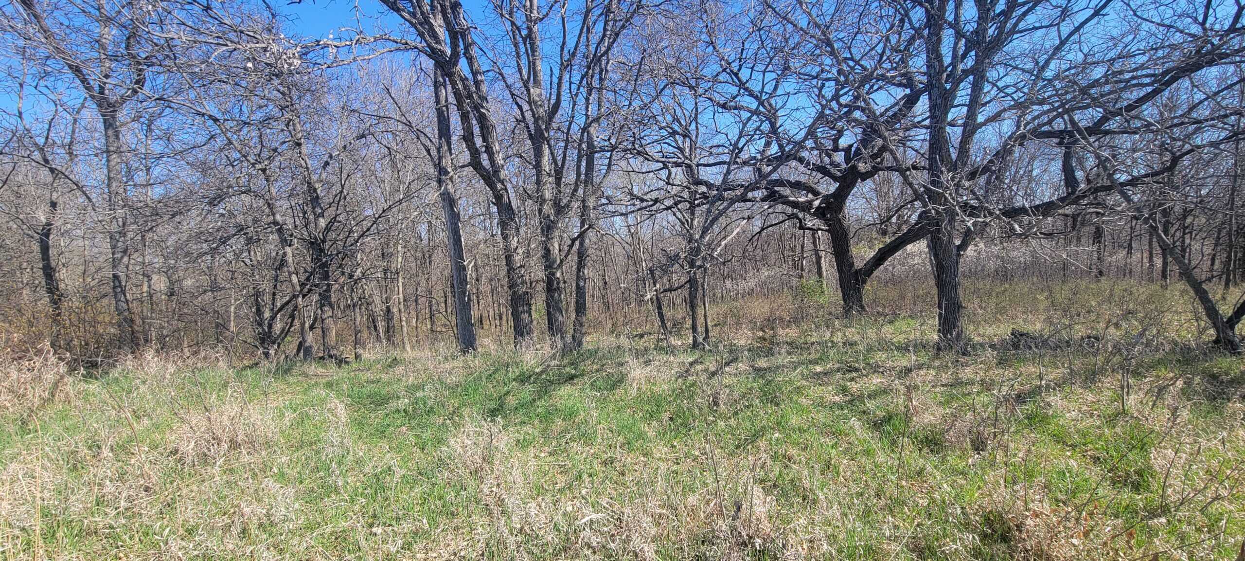 112 Acres m/l near Harrison County Lake