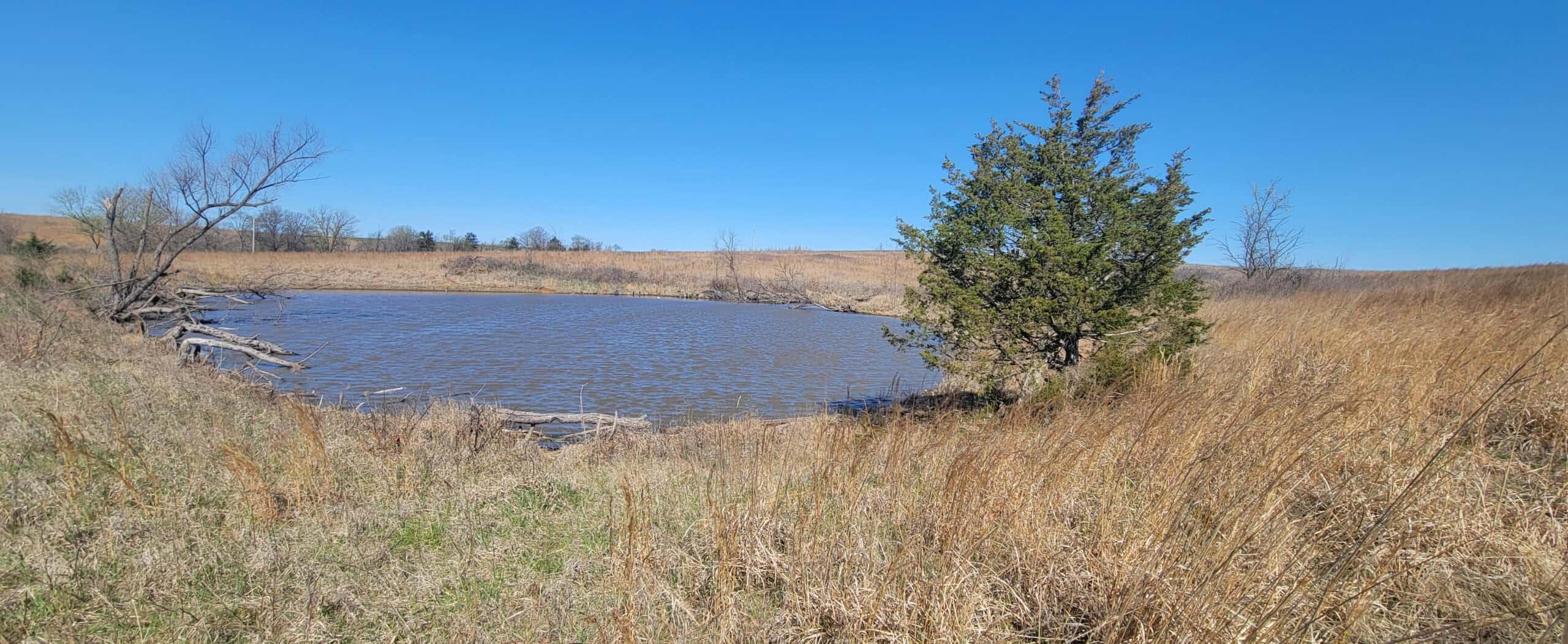 112 Acres m/l near Harrison County Lake