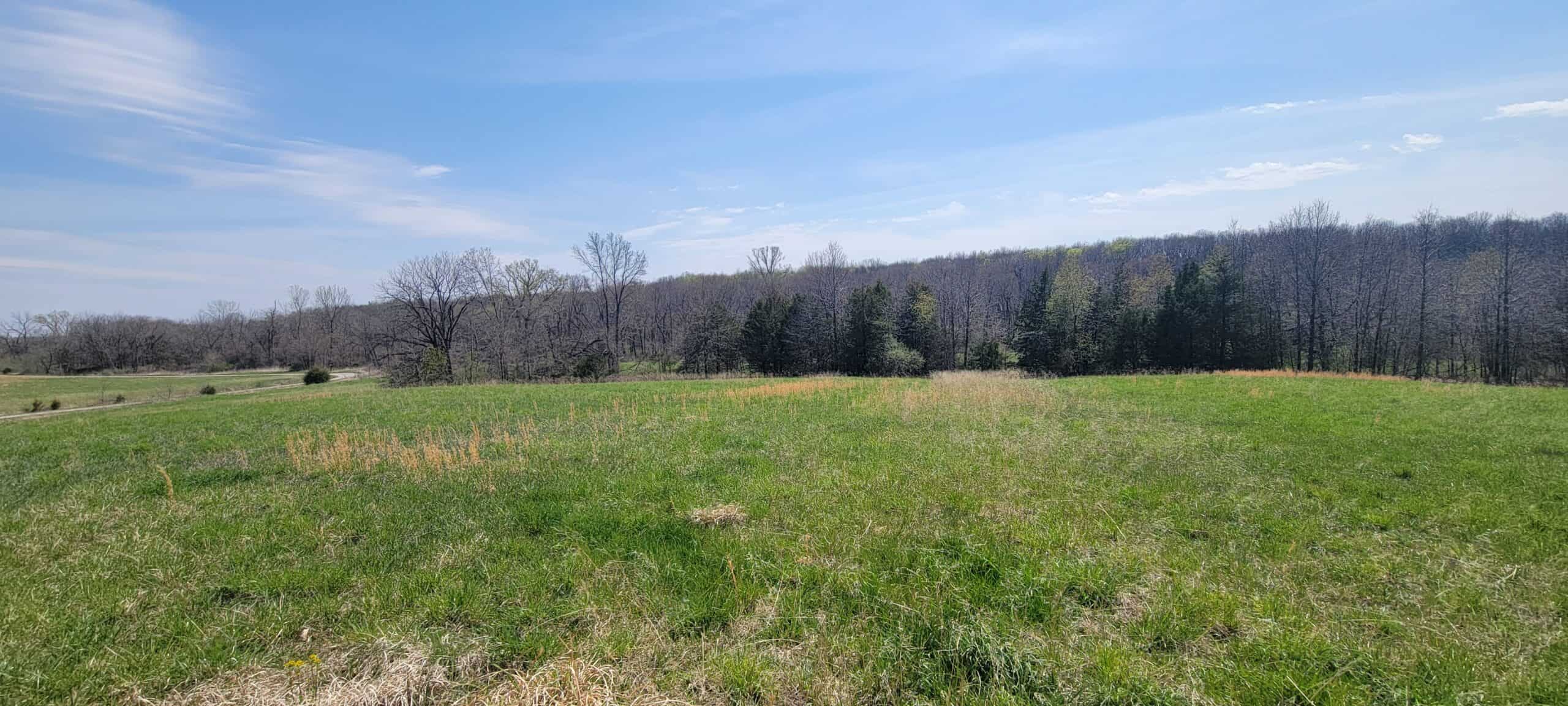 30 Acre m/l Hunting Tract next to Conservation Area