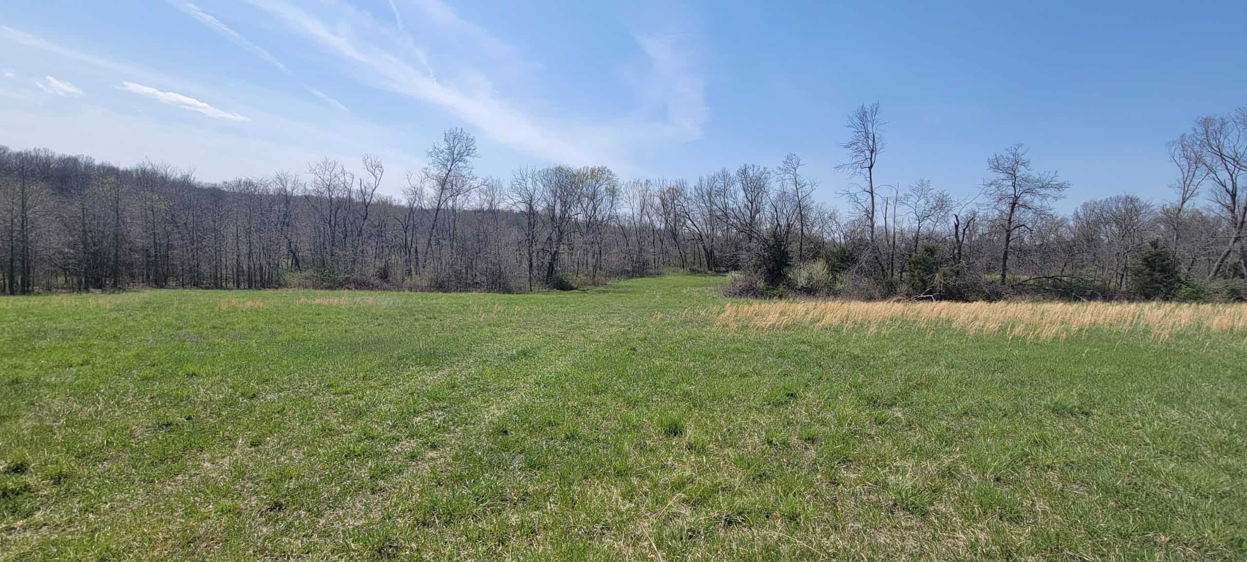 30 Acre m/l Hunting Tract next to Conservation Area