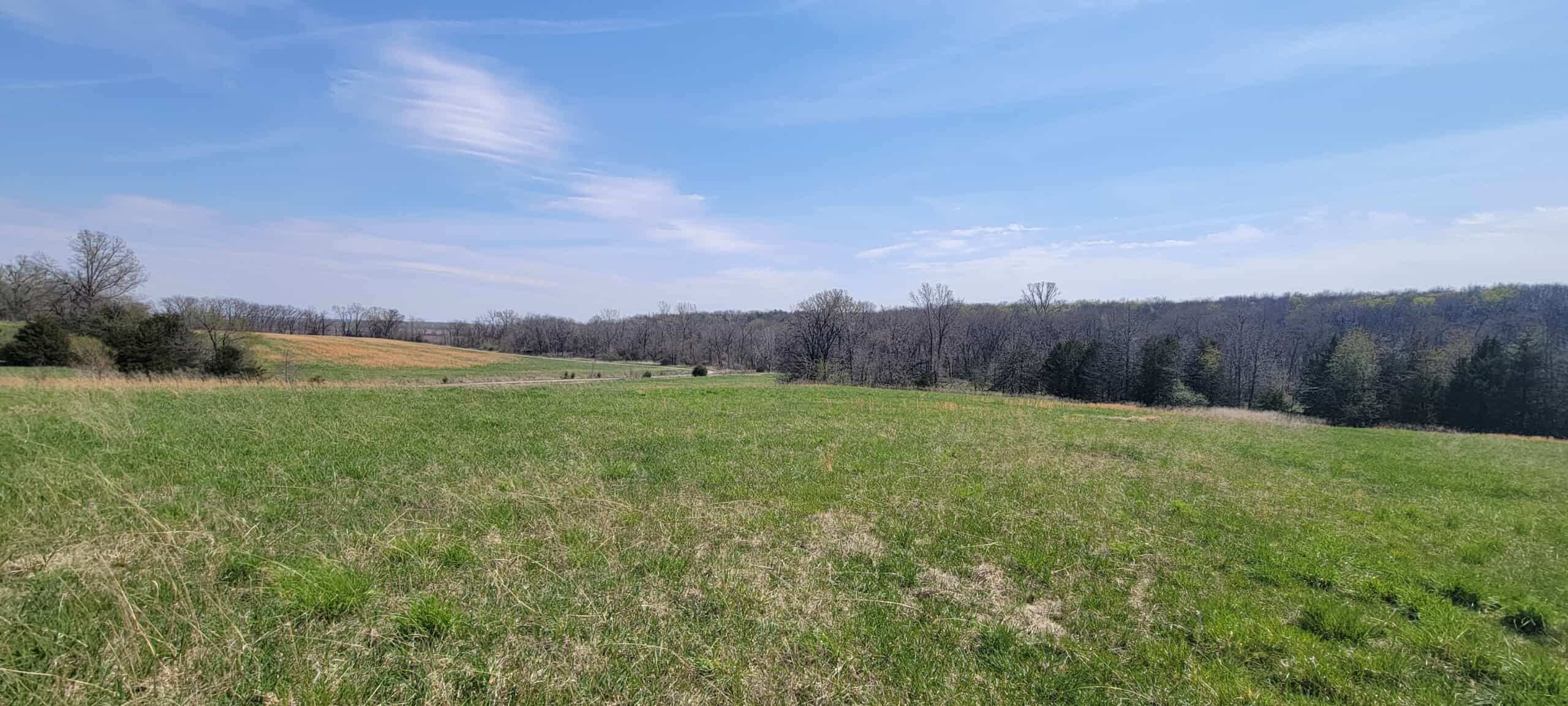 30 Acre m/l Hunting Tract next to Conservation Area