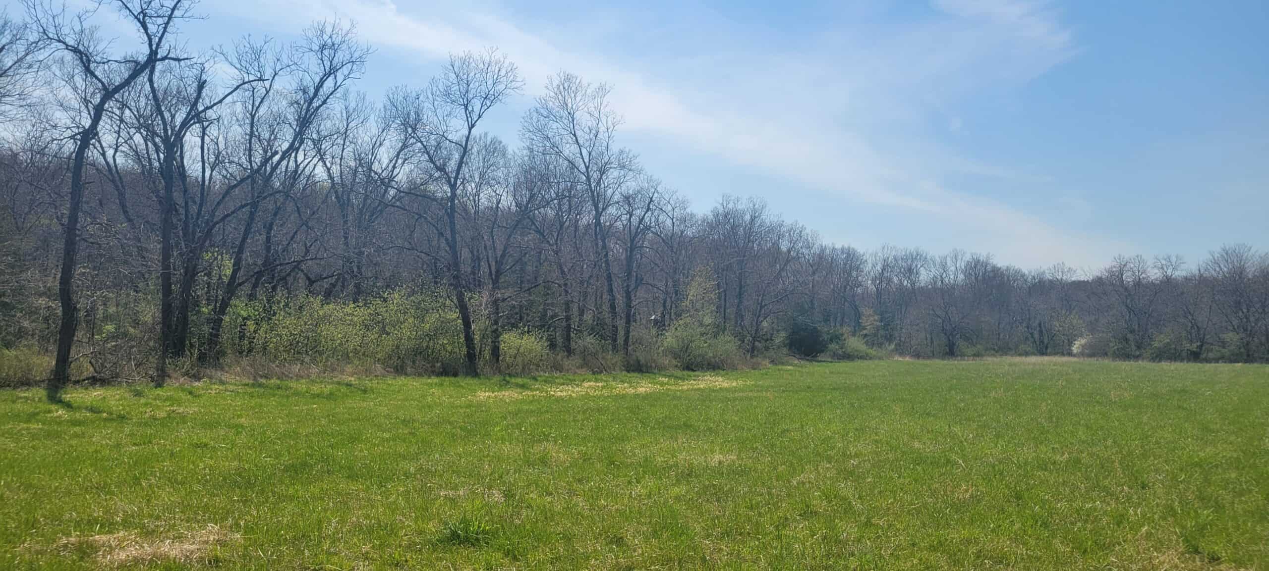 30 Acre m/l Hunting Tract next to Conservation Area