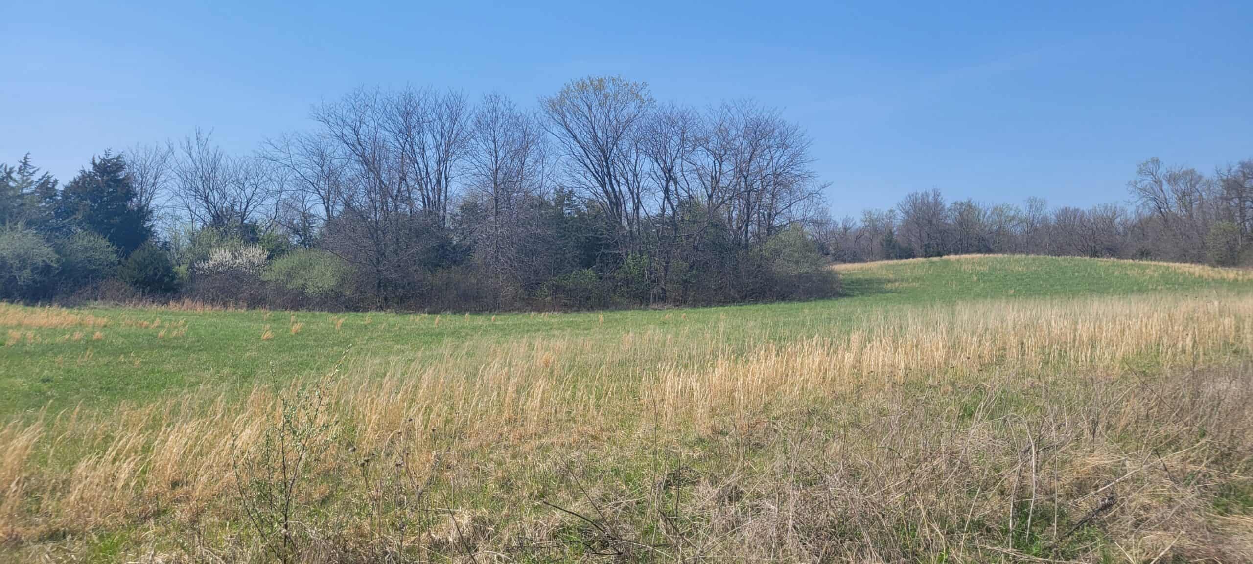 30 Acre m/l Hunting Tract next to Conservation Area