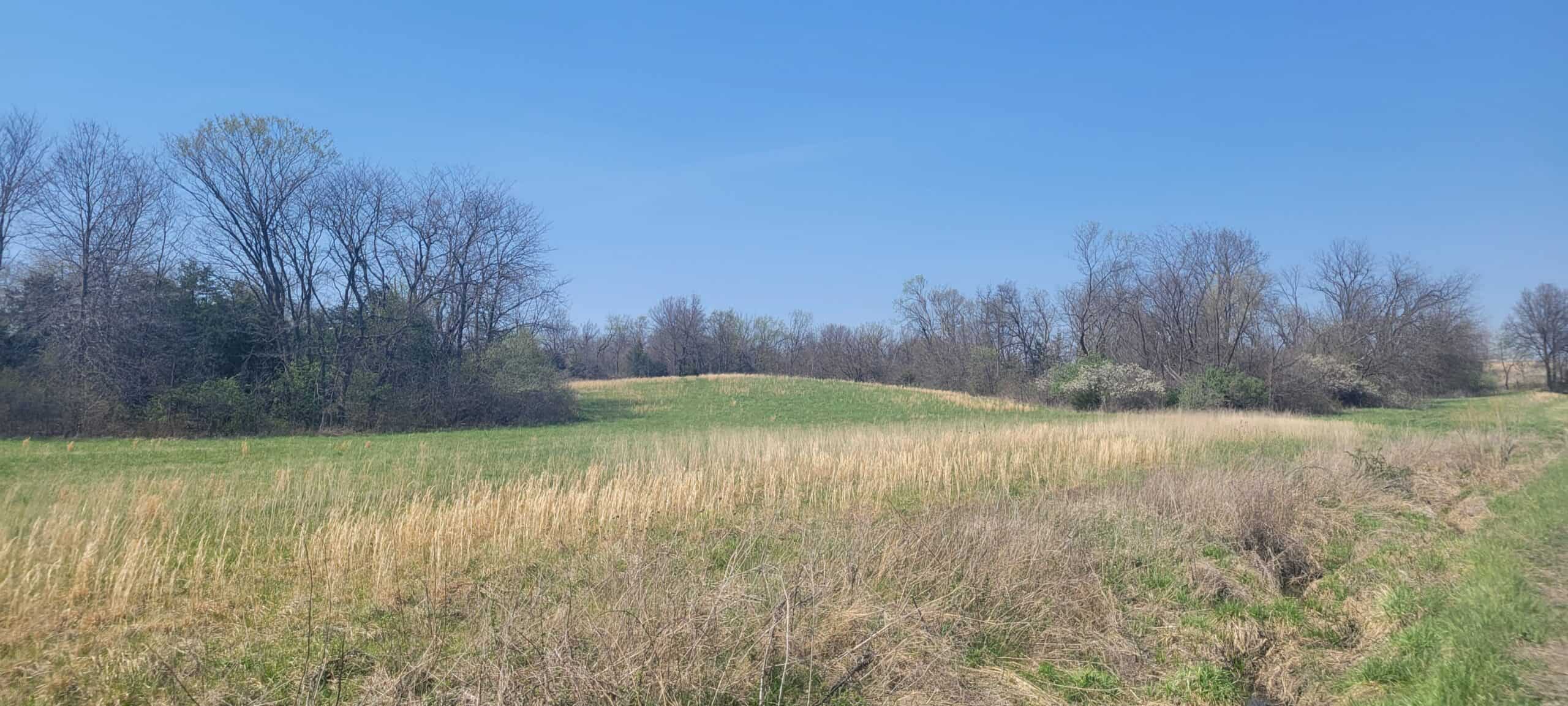 30 Acre m/l Hunting Tract next to Conservation Area