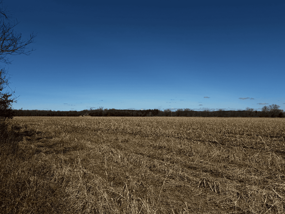 66.48 Acres located in the Town of Lewiston Columbia County