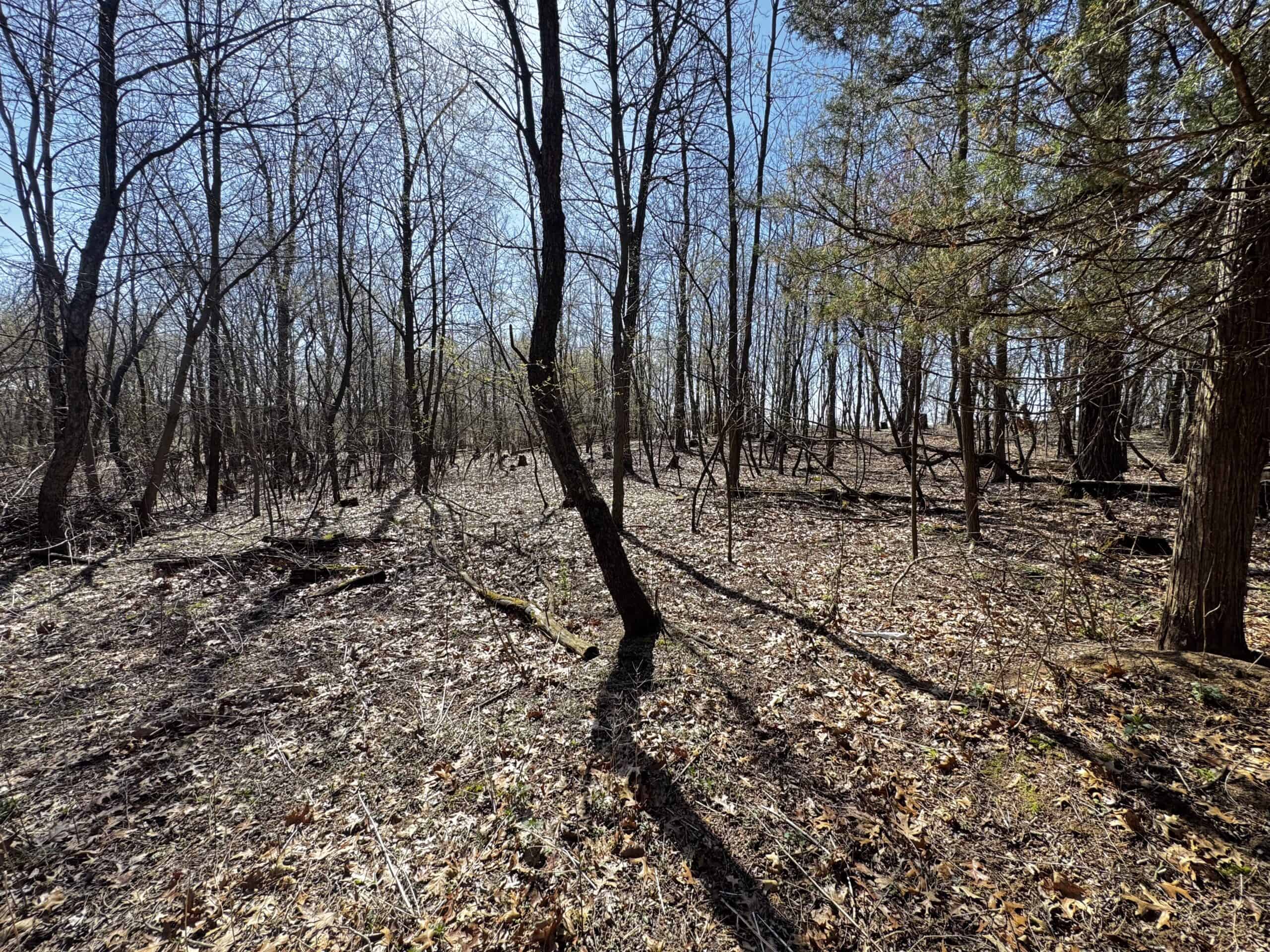 2 Properties Marquette County Online Only Auction