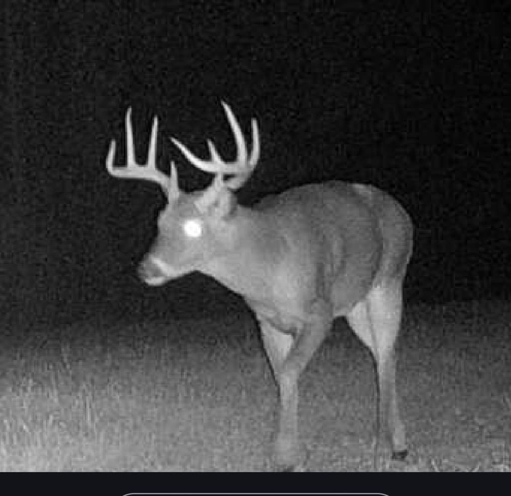 Amite County Hunting Land for Sale