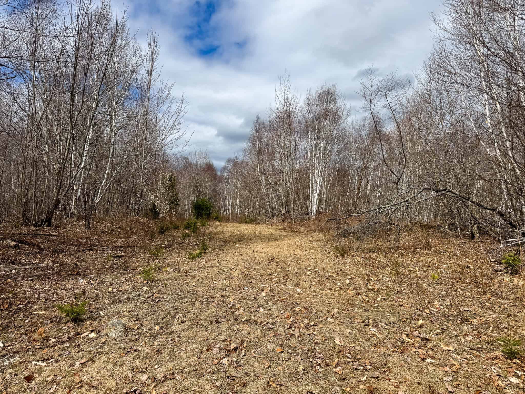 40.8 Acres of Off-Grid Paradise in Lakeville, Maine