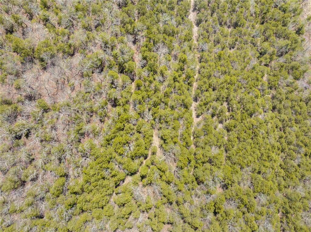 120 Acres Arkansas Hunting Land For Sale with Creek Frontage and Trails