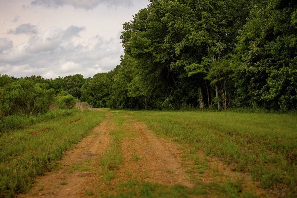 Deer, Duck, and Turkey Hunting in Claiborne County, MS